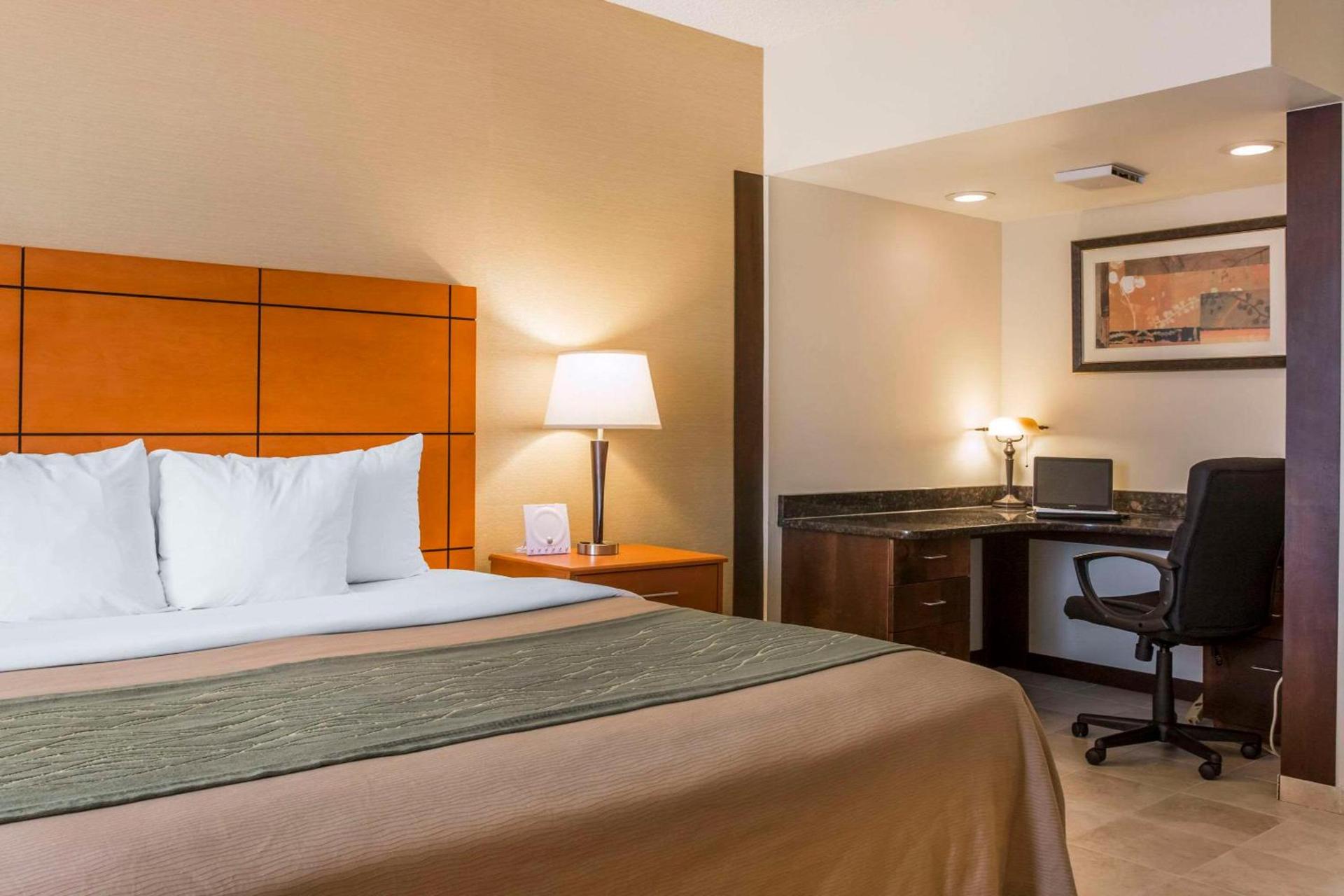 Comfort Inn Metro Airport photo 5