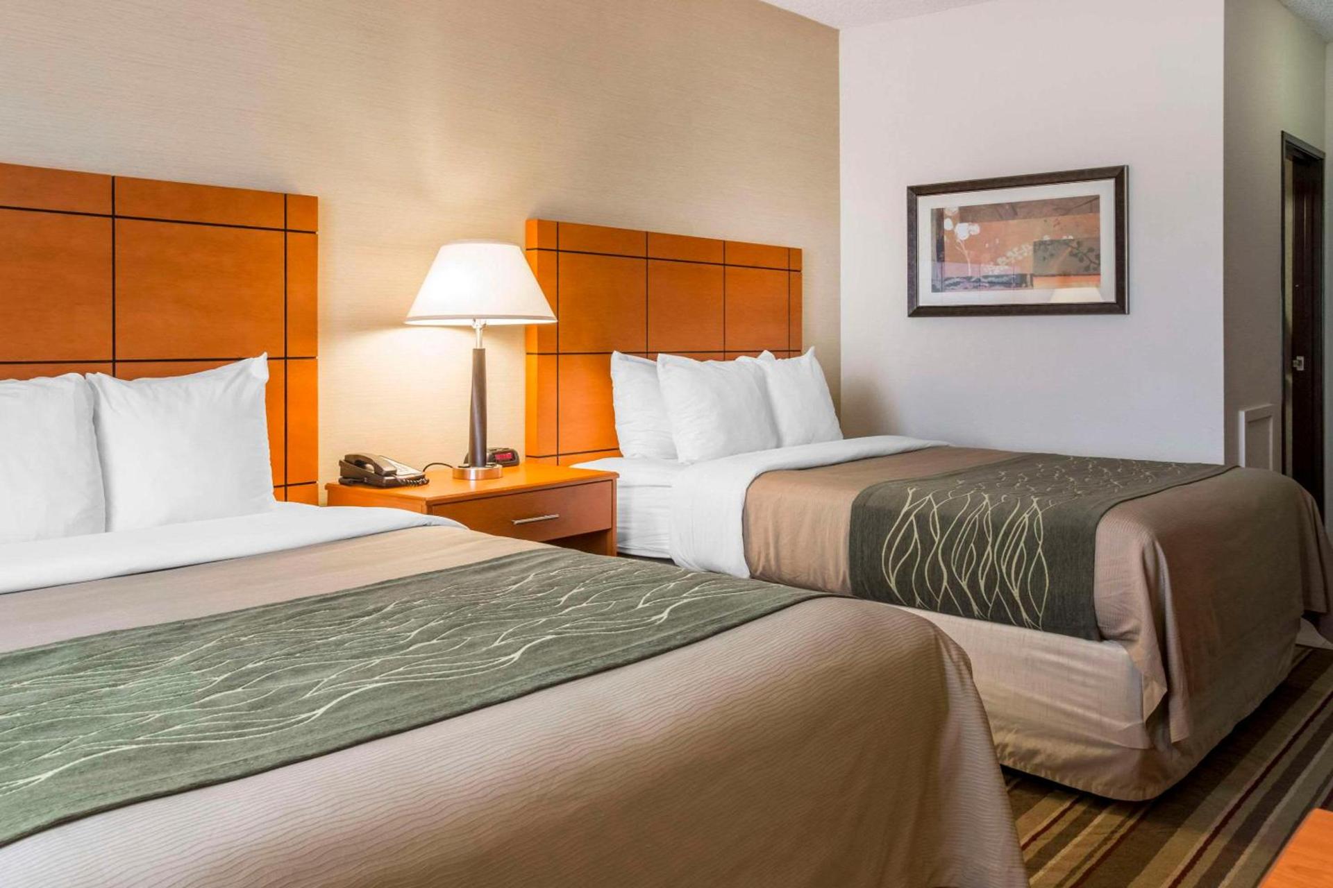 Comfort Inn Metro Airport photo 7