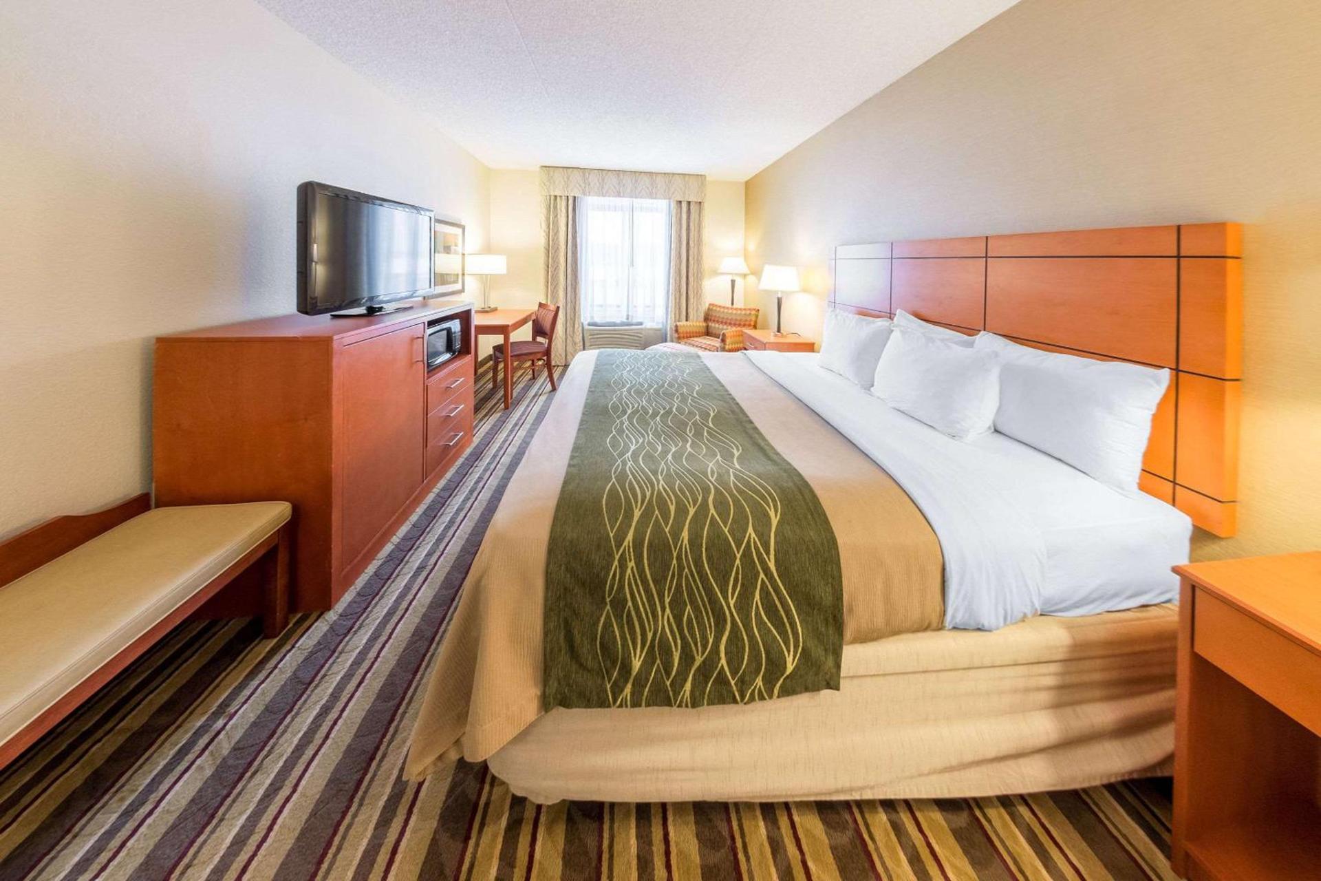 Comfort Inn Metro Airport photo 9