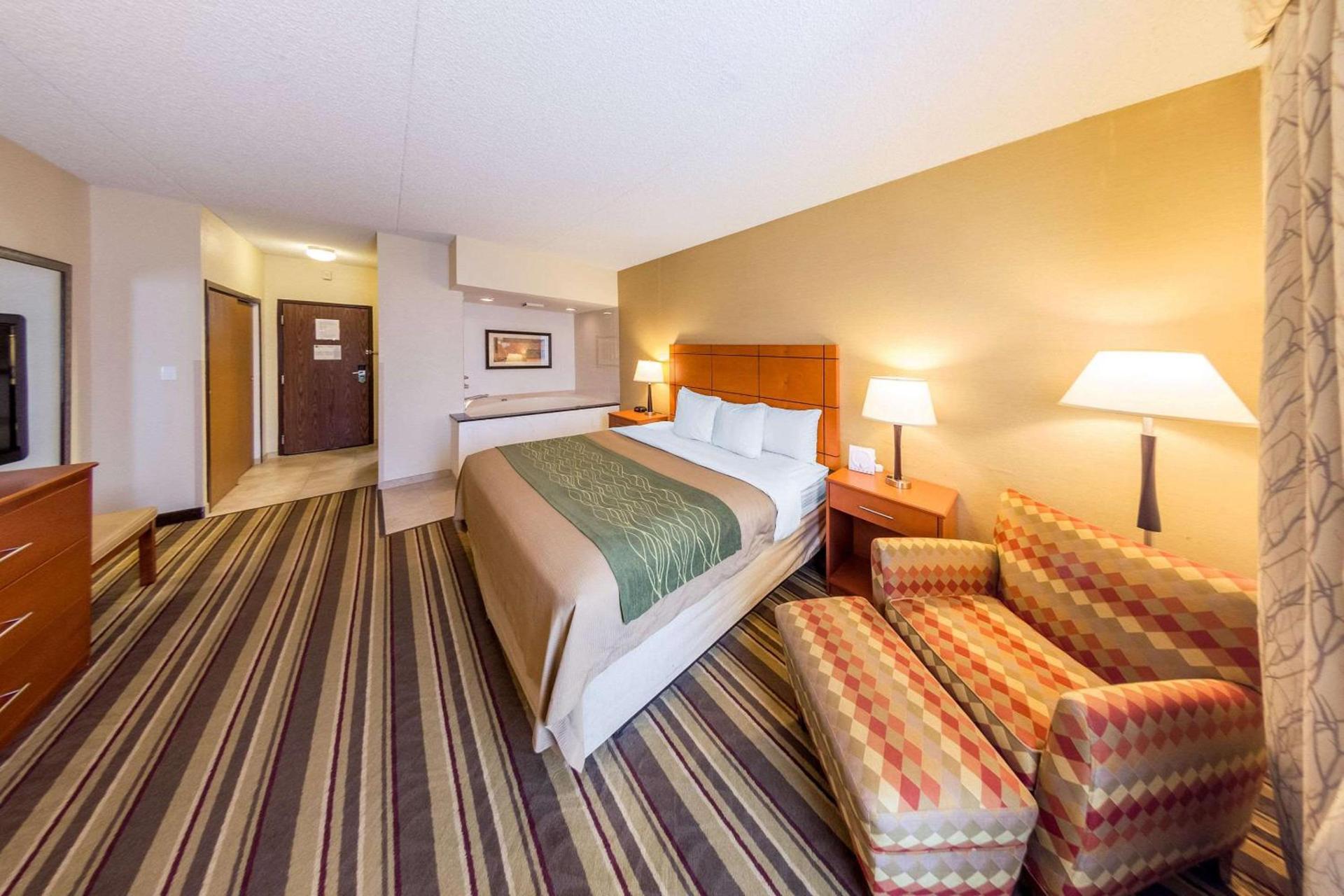 Comfort Inn Metro Airport photo 10
