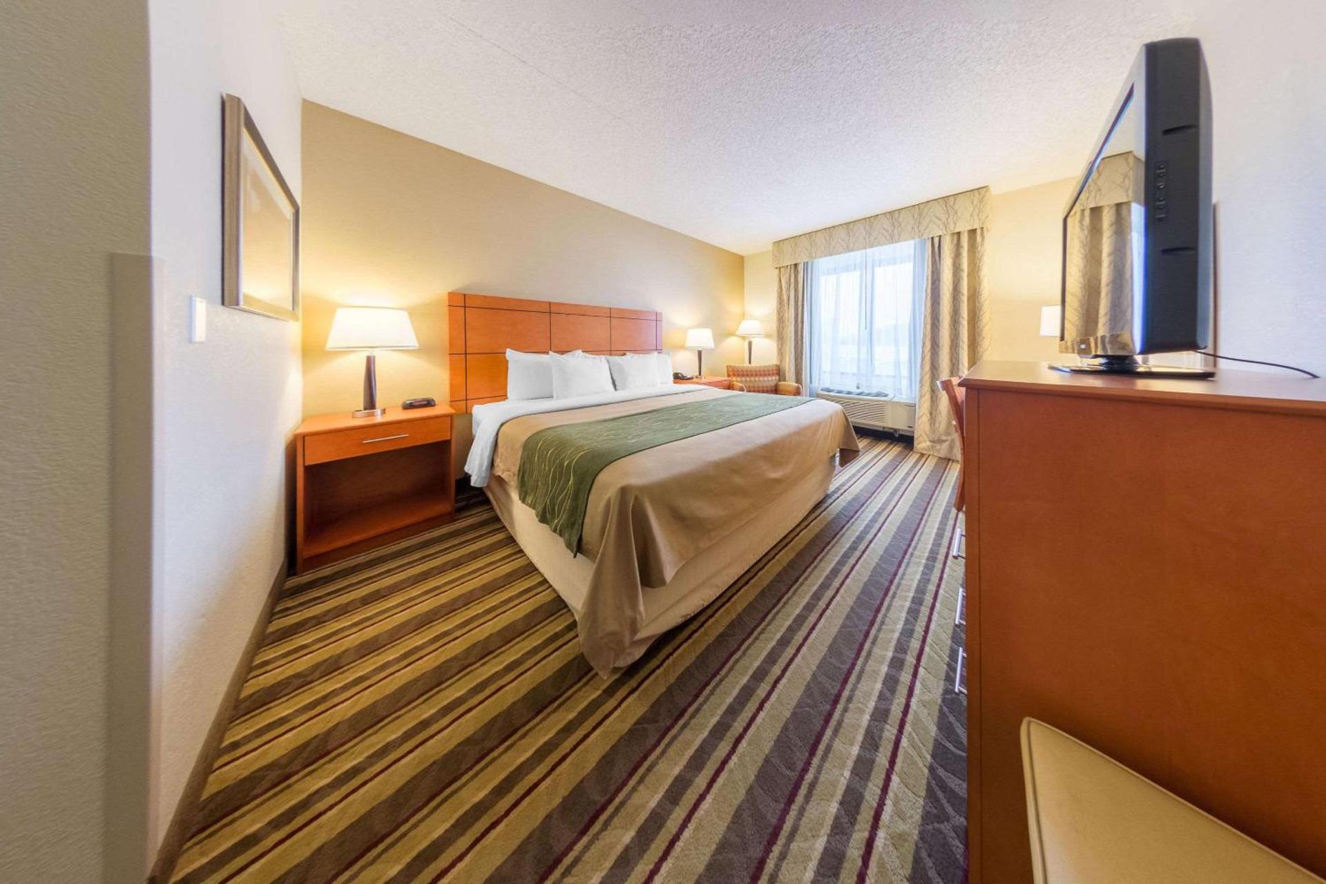 Comfort Inn Metro Airport photo 8