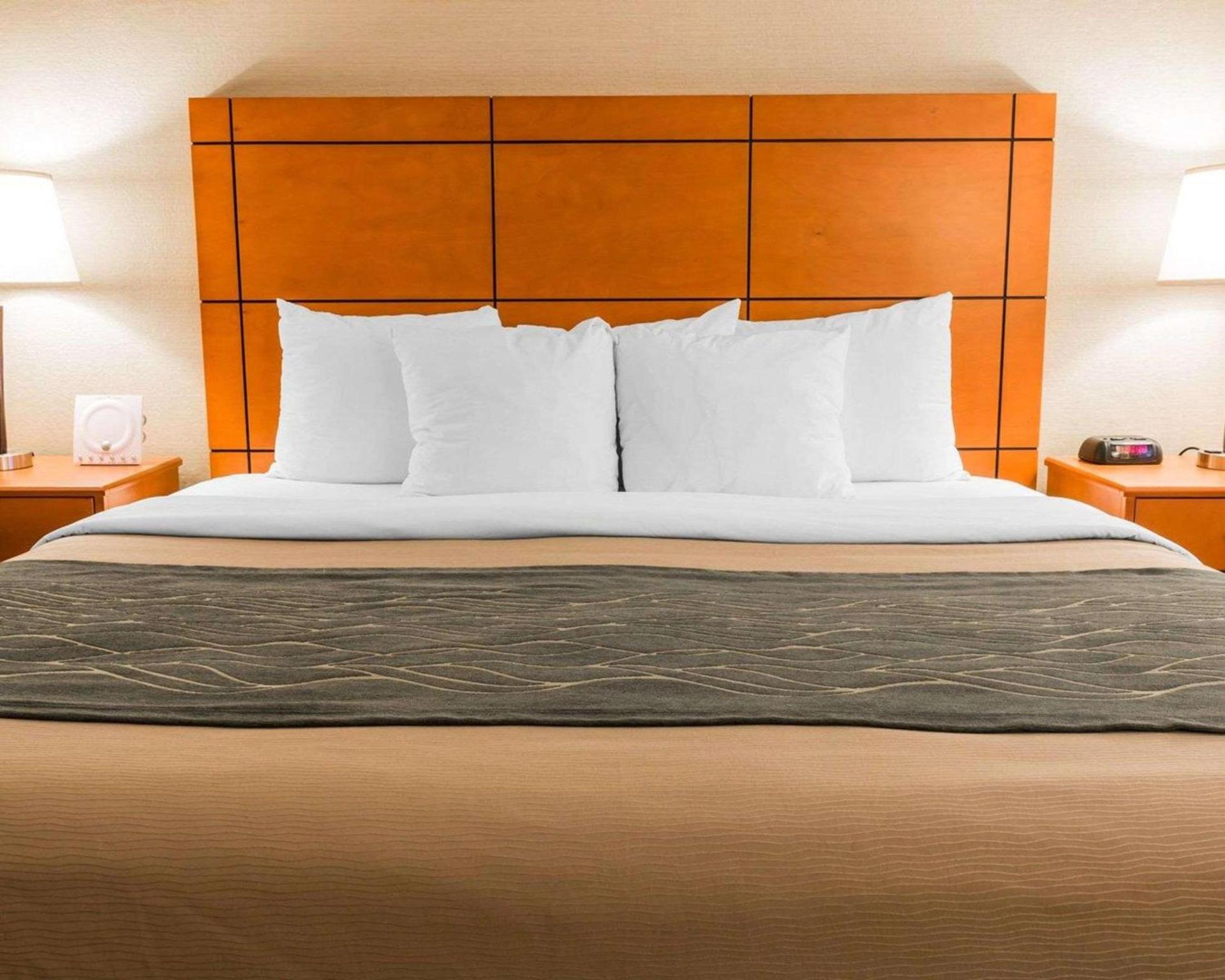 Comfort Inn Metro Airport photo 11