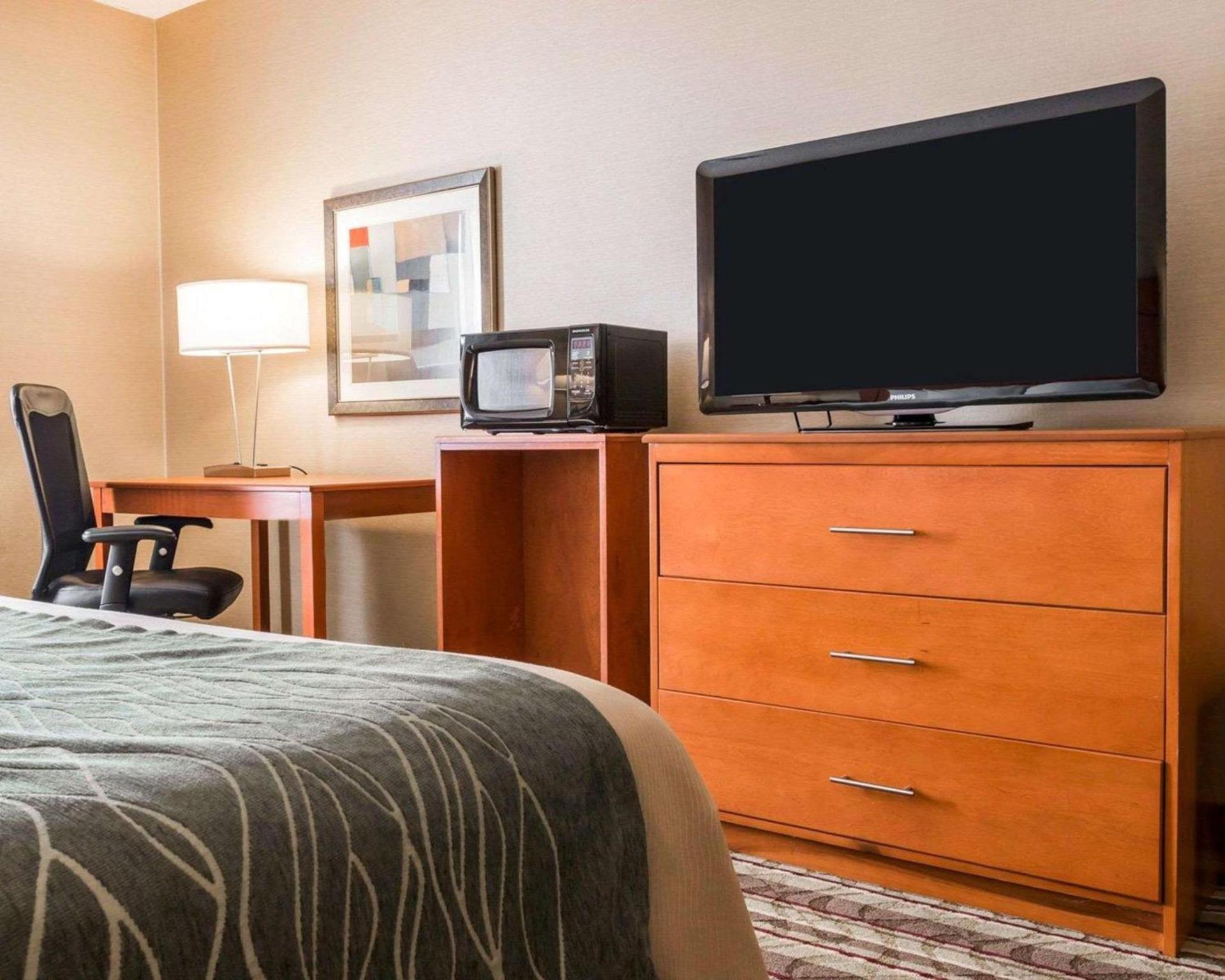 Comfort Inn Metro Airport photo 12