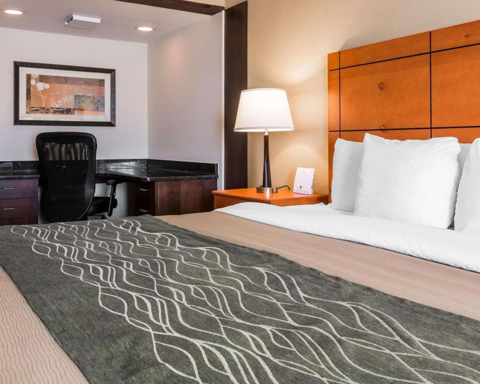 Comfort Inn Metro Airport photo 6