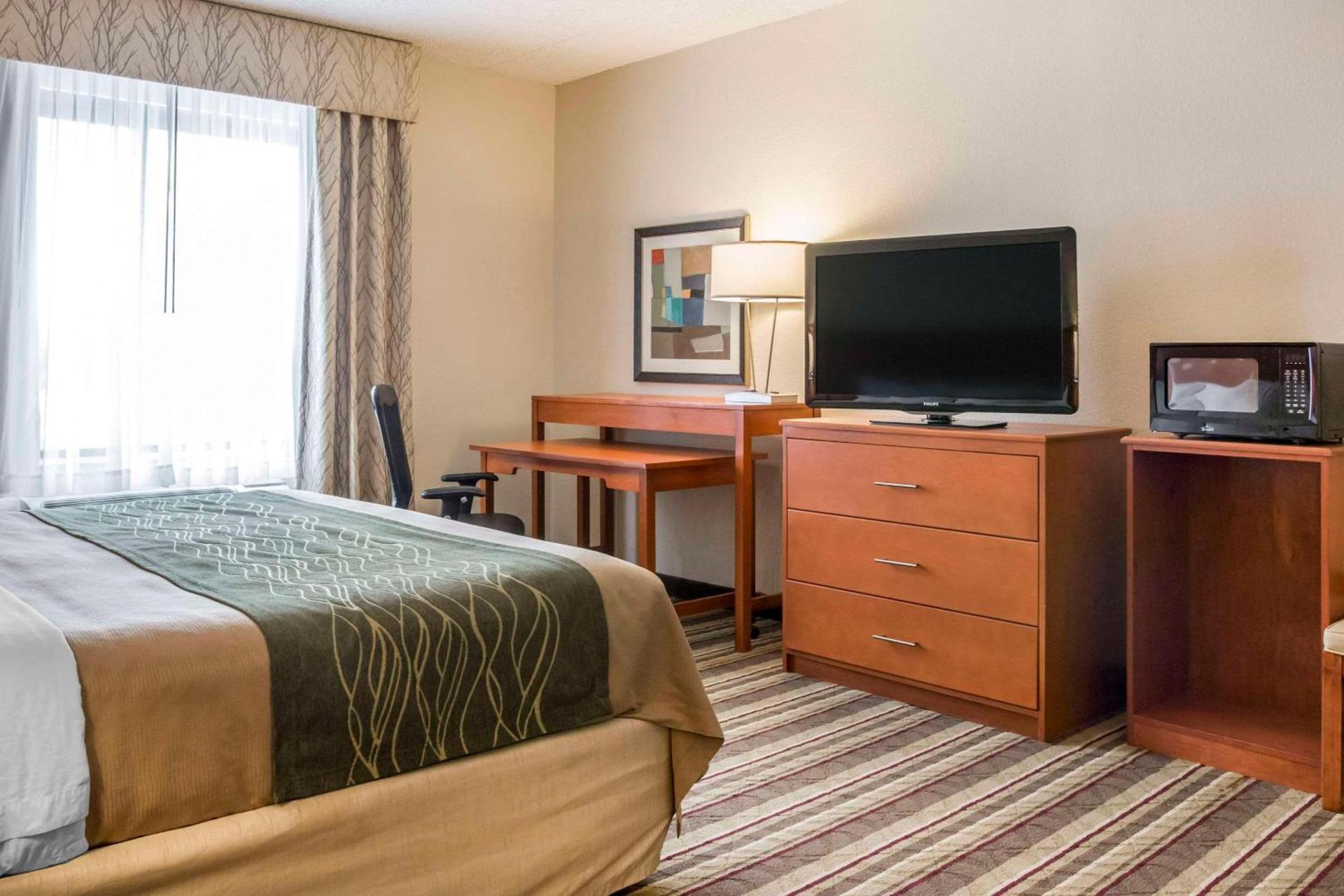 Comfort Inn Metro Airport photo 15