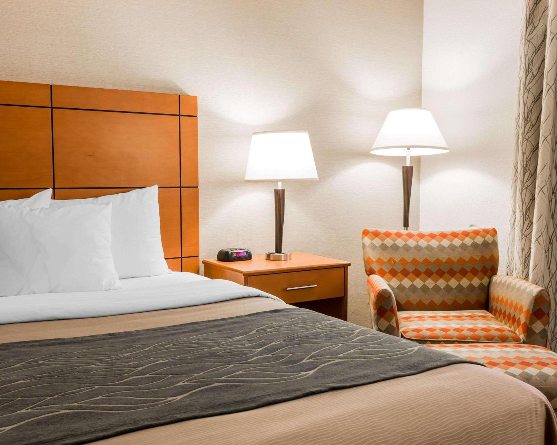 Comfort Inn Metro Airport photo 16