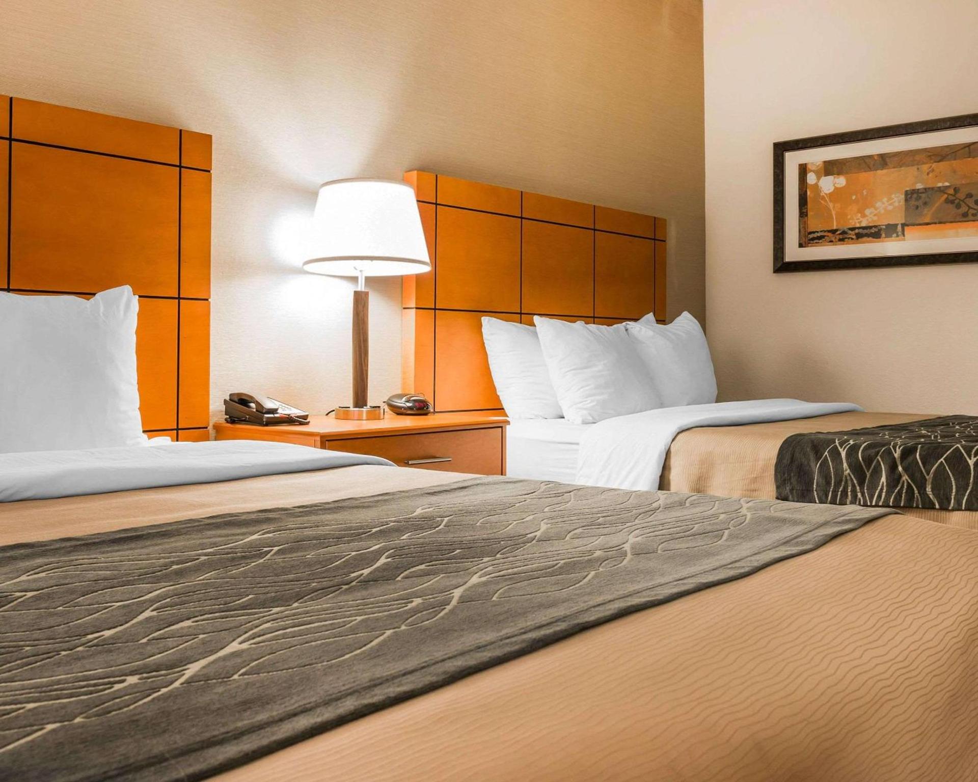 Comfort Inn Metro Airport photo 13