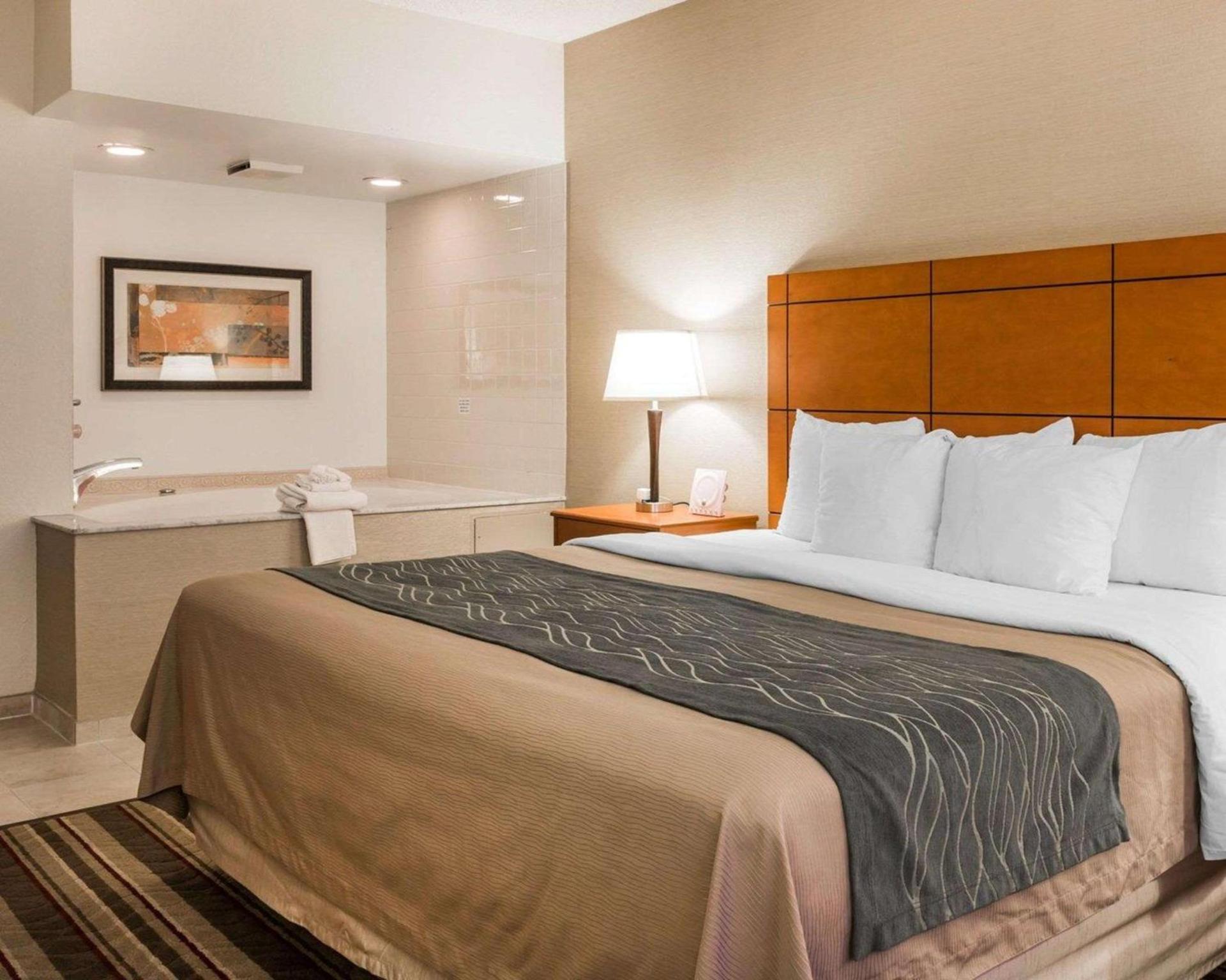 Comfort Inn Metro Airport photo 14