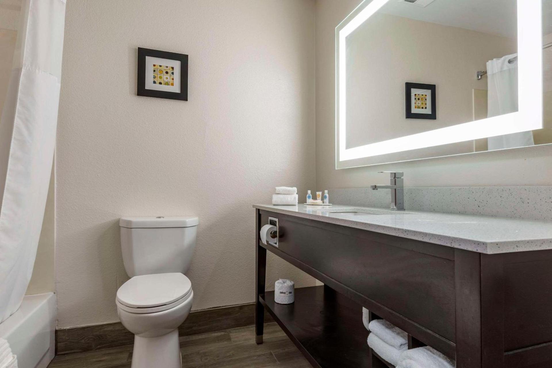 Comfort Inn & Suites Liverpool - Syracuse photo 21