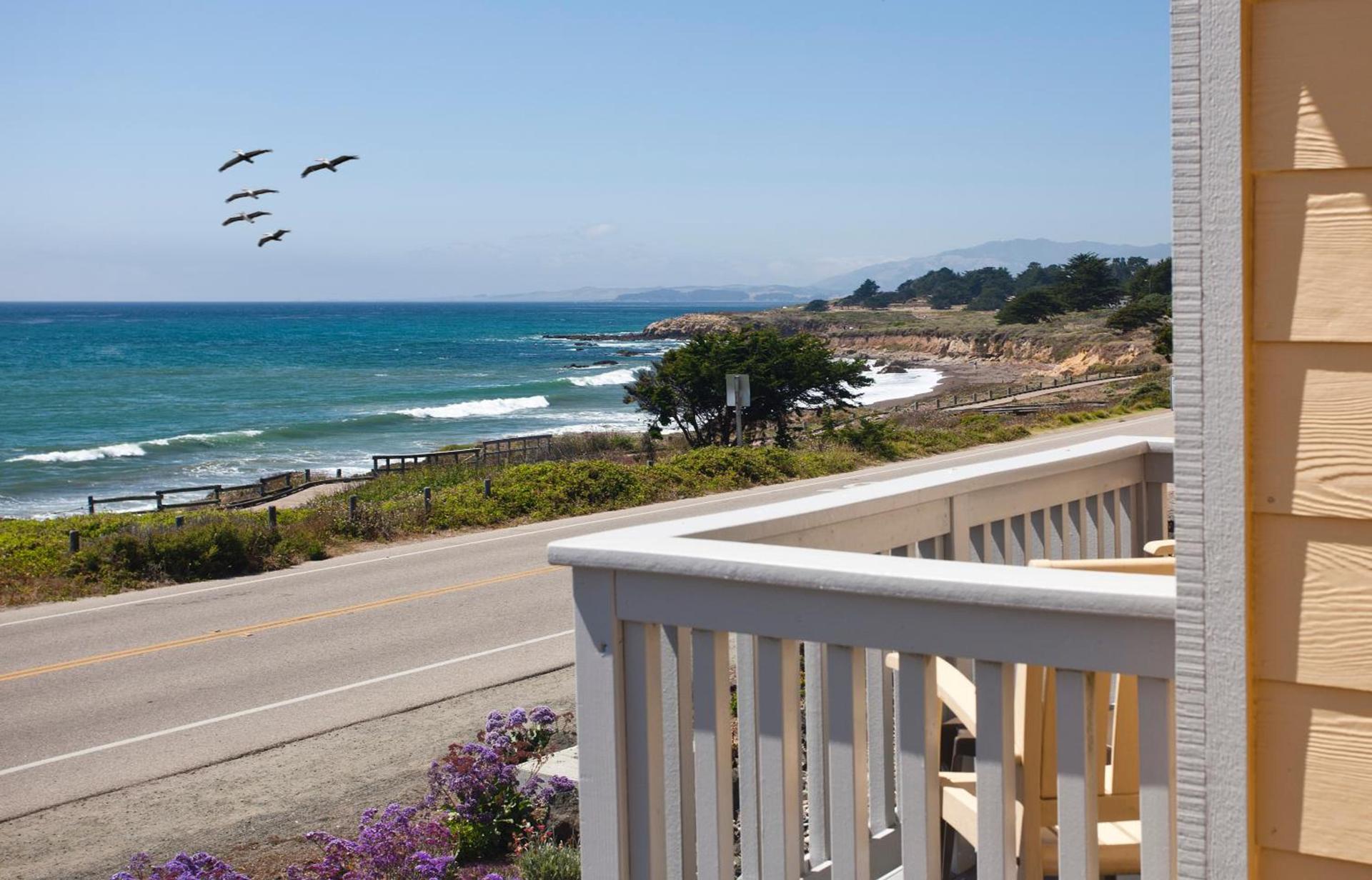 Pelican Inn & Suites photo 15
