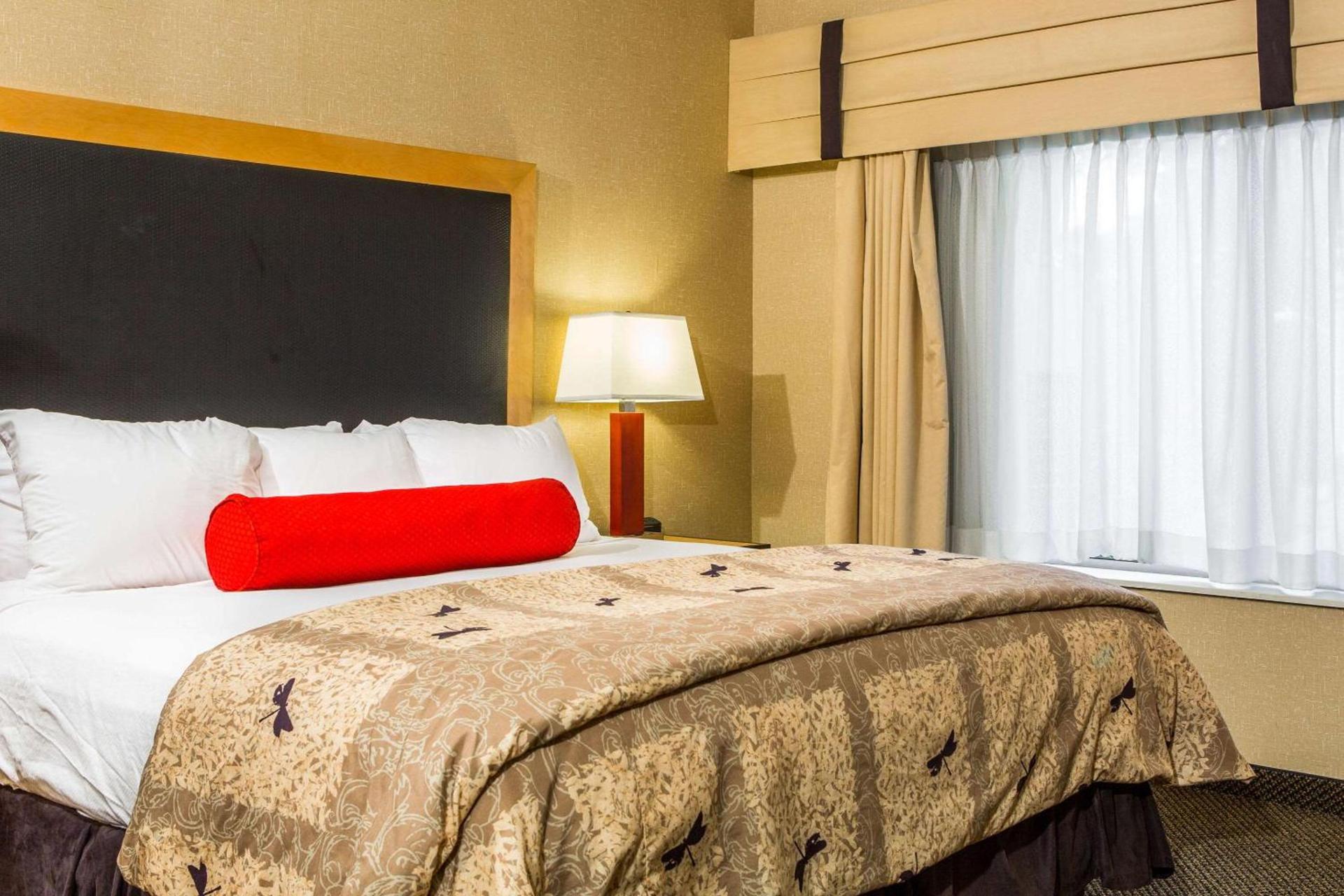 Cambria Hotel Raleigh-Durham Airport photo 22