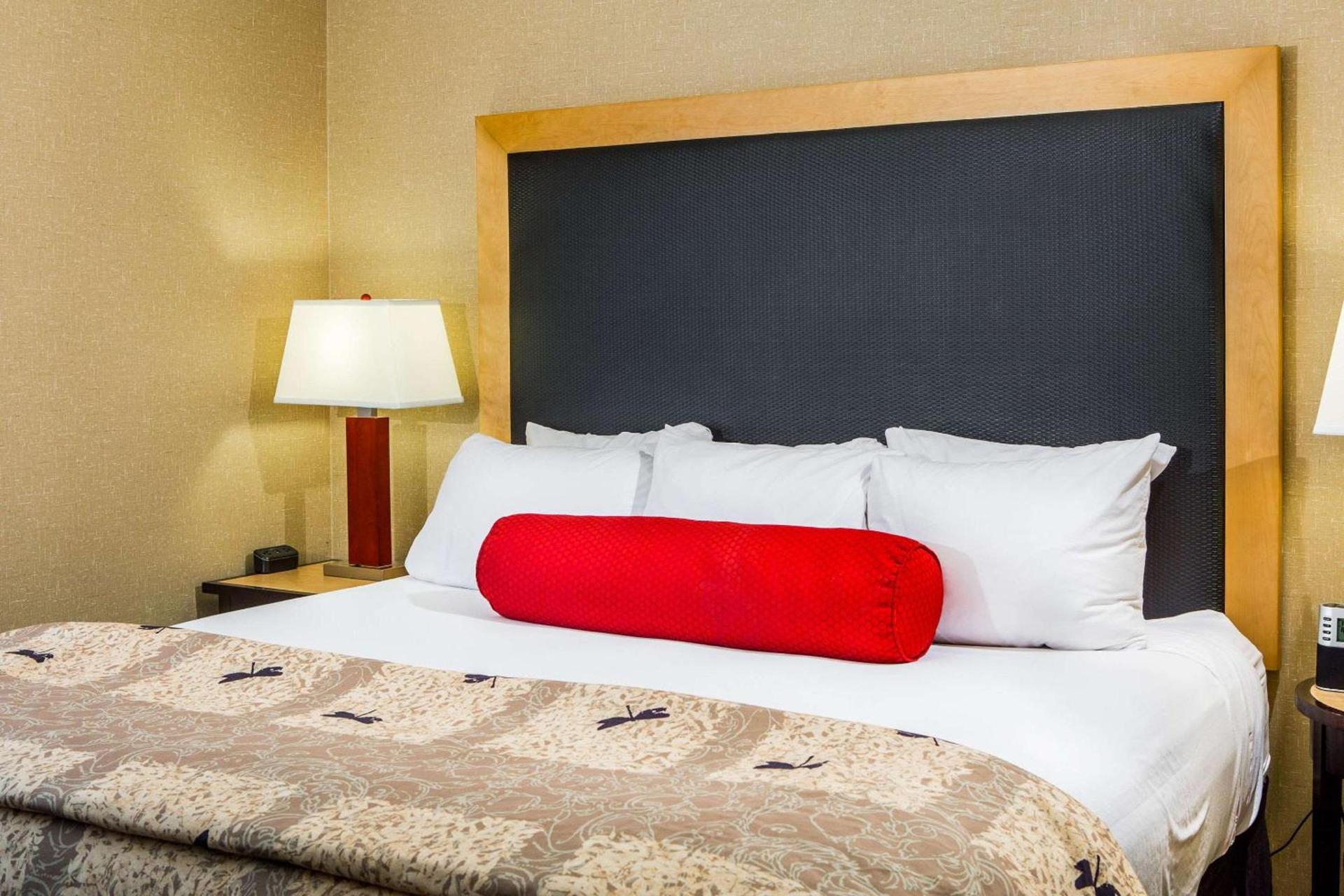 Cambria Hotel Raleigh-Durham Airport photo 27