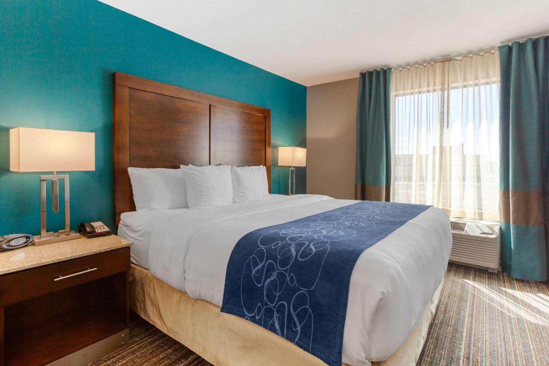 Comfort Suites of Las Cruces I-25 North photo 19