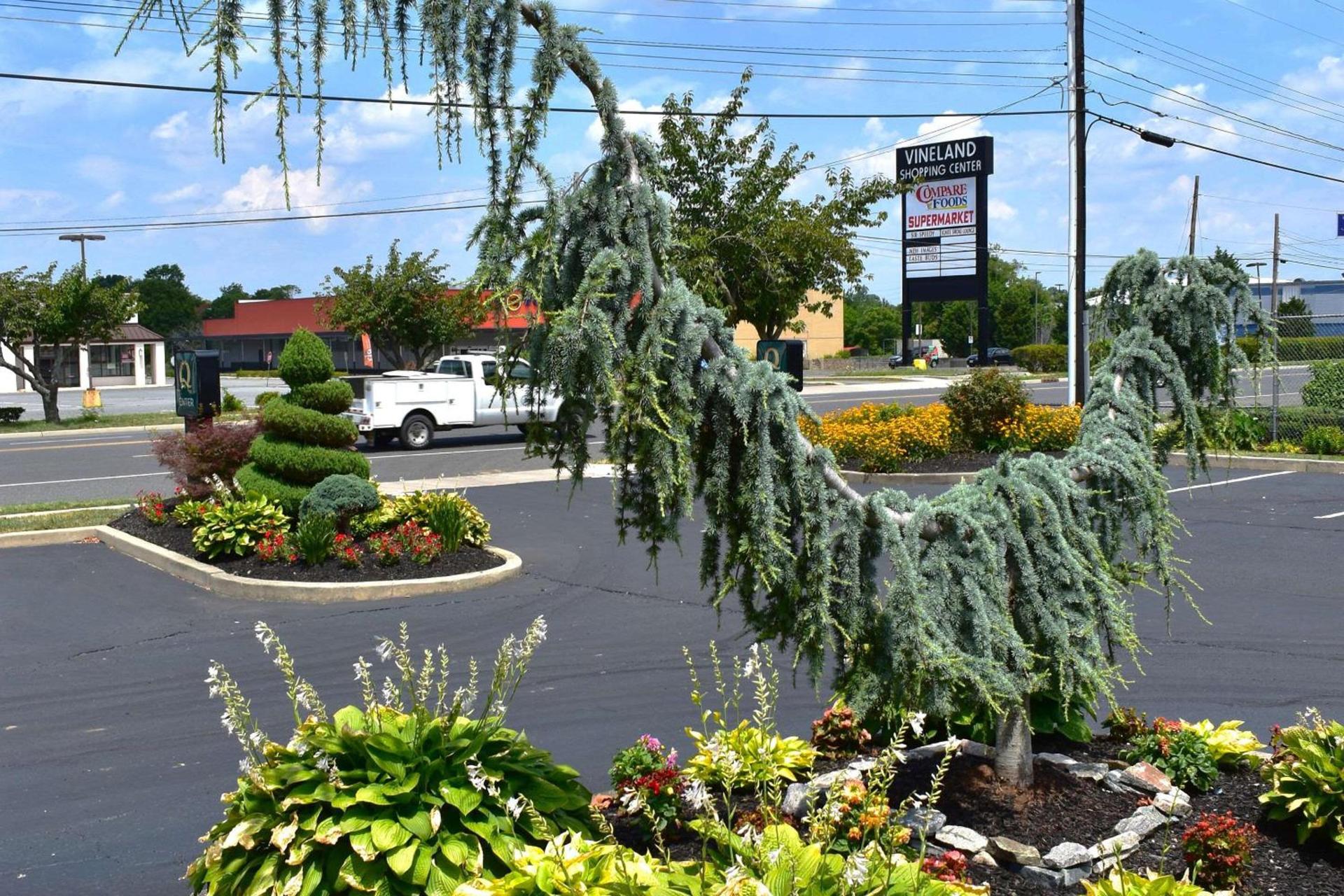 Quality Inn Vineland photo 4