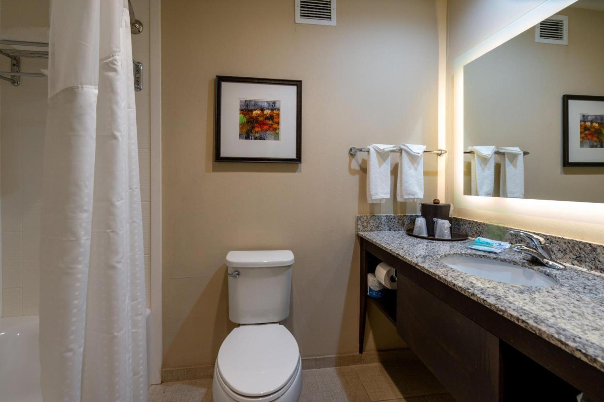 Holiday Inn Murfreesboro by IHG photo 77