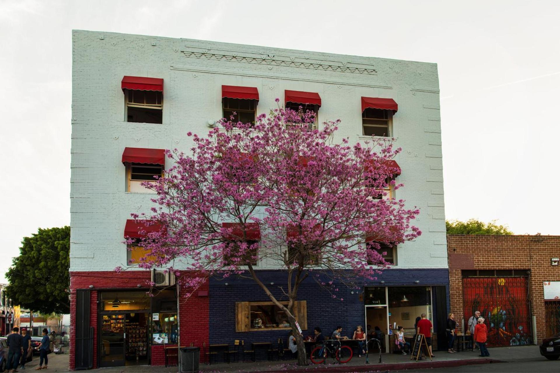 American Hotel photo 81