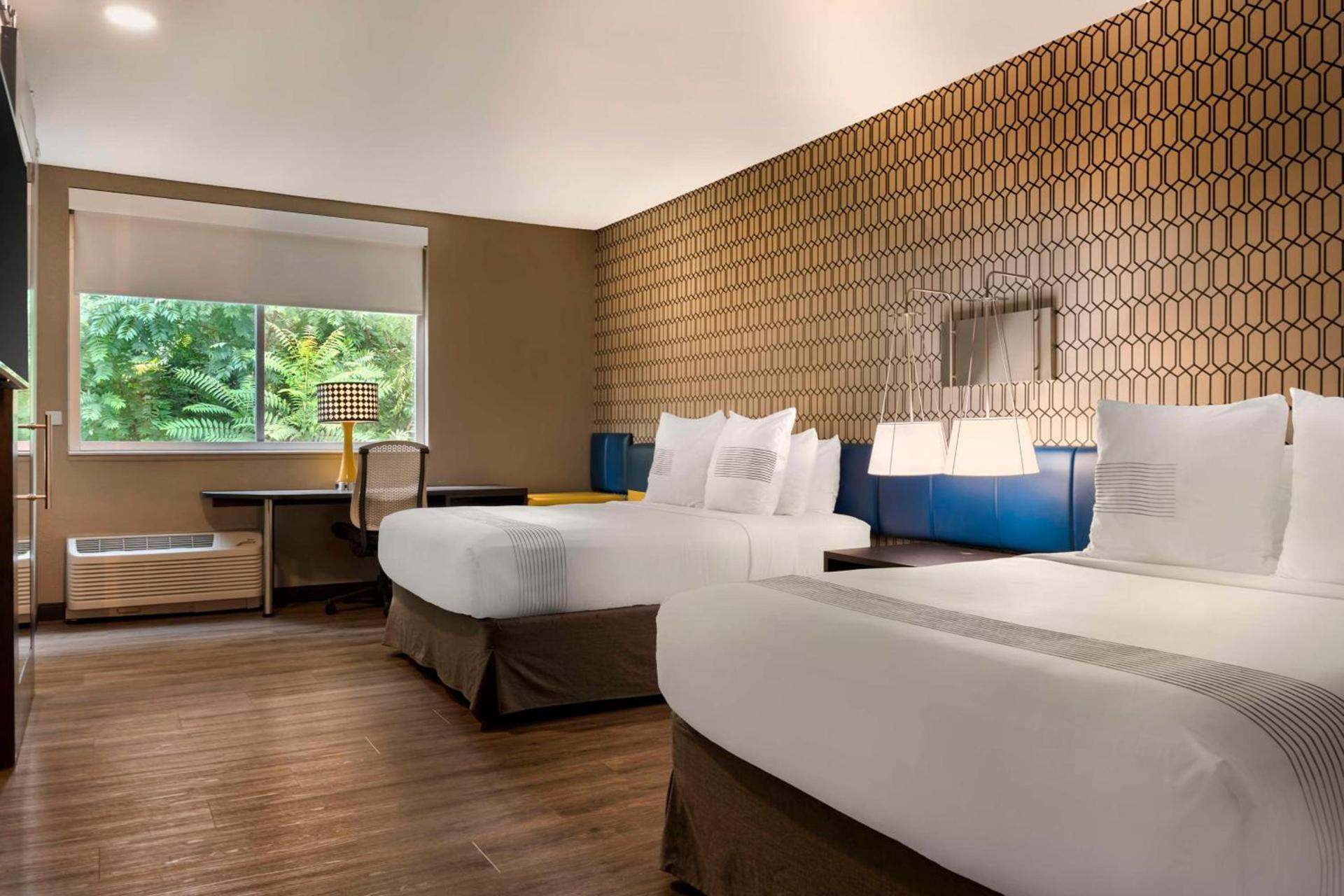 GLo Hotel Asheville-Blue Ridge Parkway photo 16