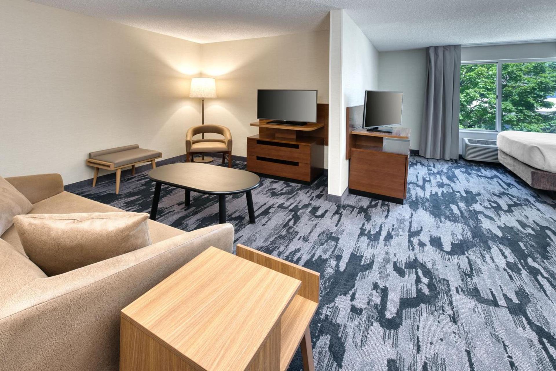 Fairfield Inn & Suites by Marriott Frankenmuth photo 10