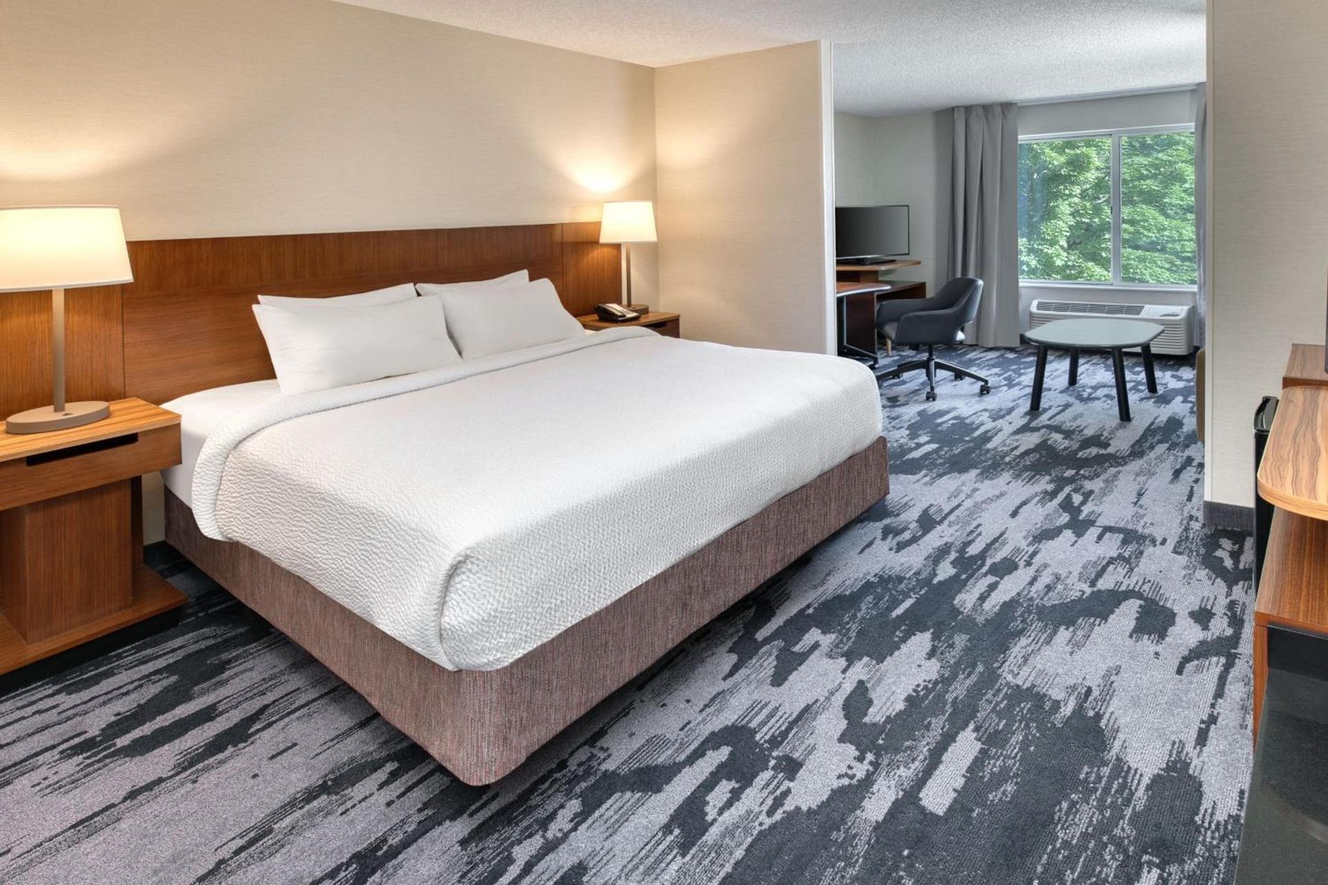 Fairfield Inn & Suites by Marriott Frankenmuth photo 12