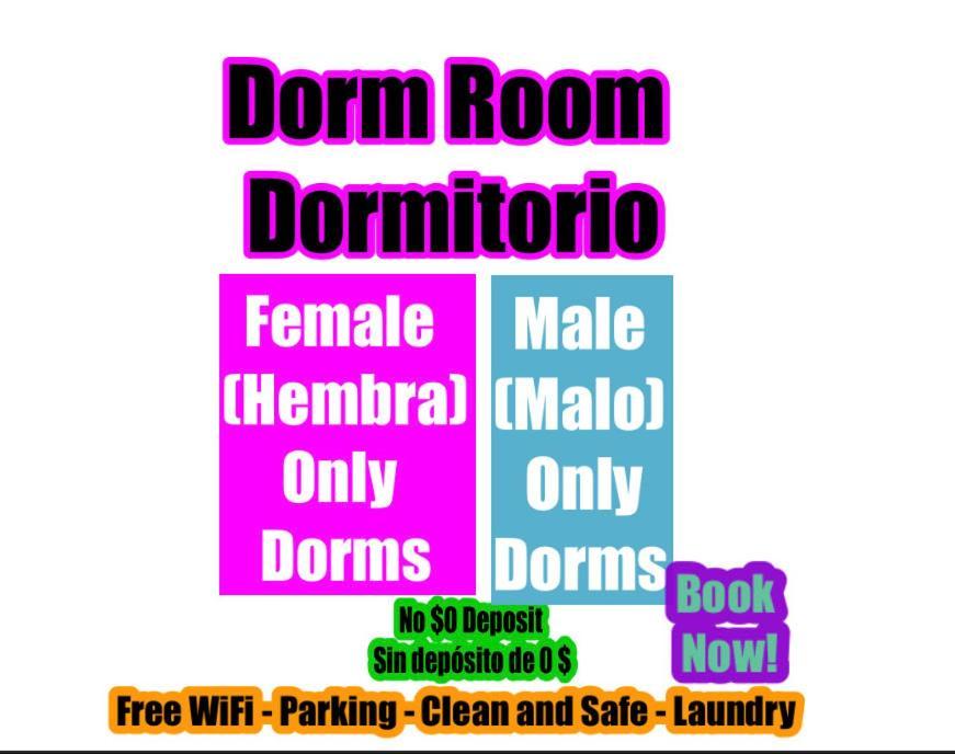 Miami International Hostel - All Female Dorms - All Men Dorms - No Mix photo 27