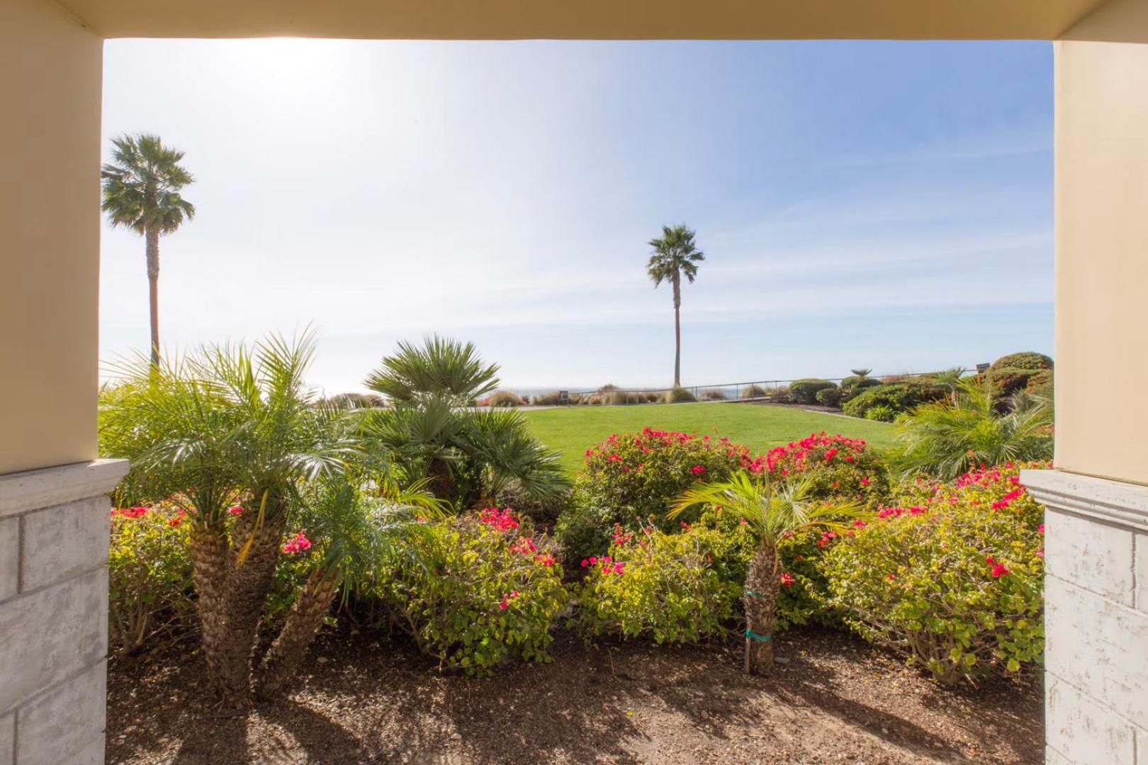 Dolphin Bay Resort and Spa photo 19