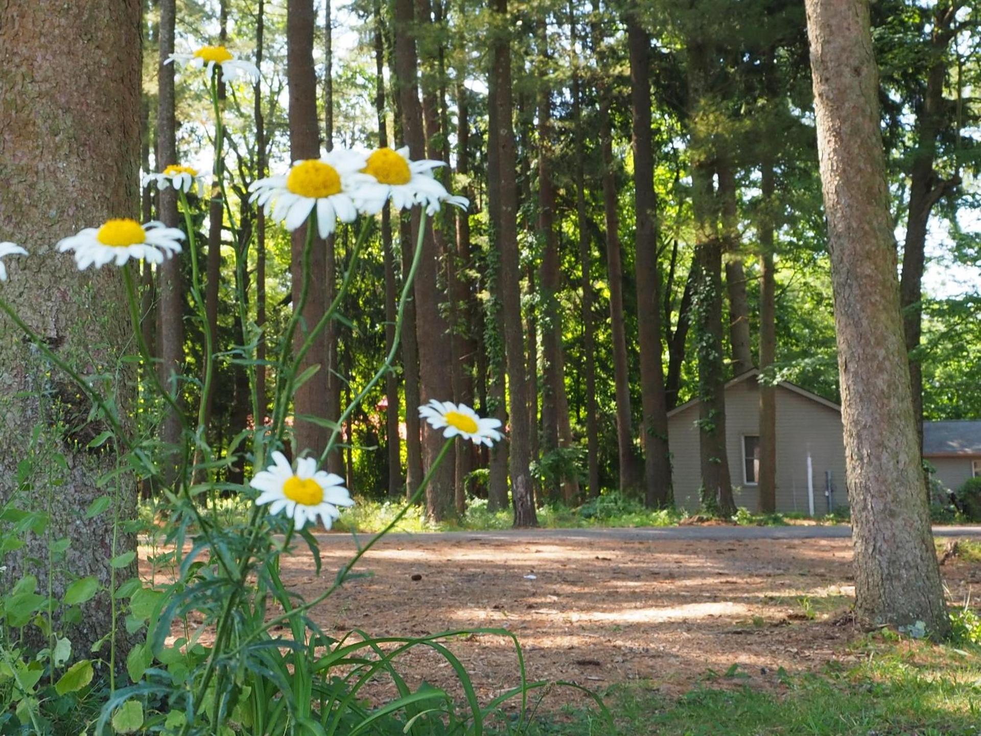 Woodfield Manor - A Sundance Vacations Property photo 38