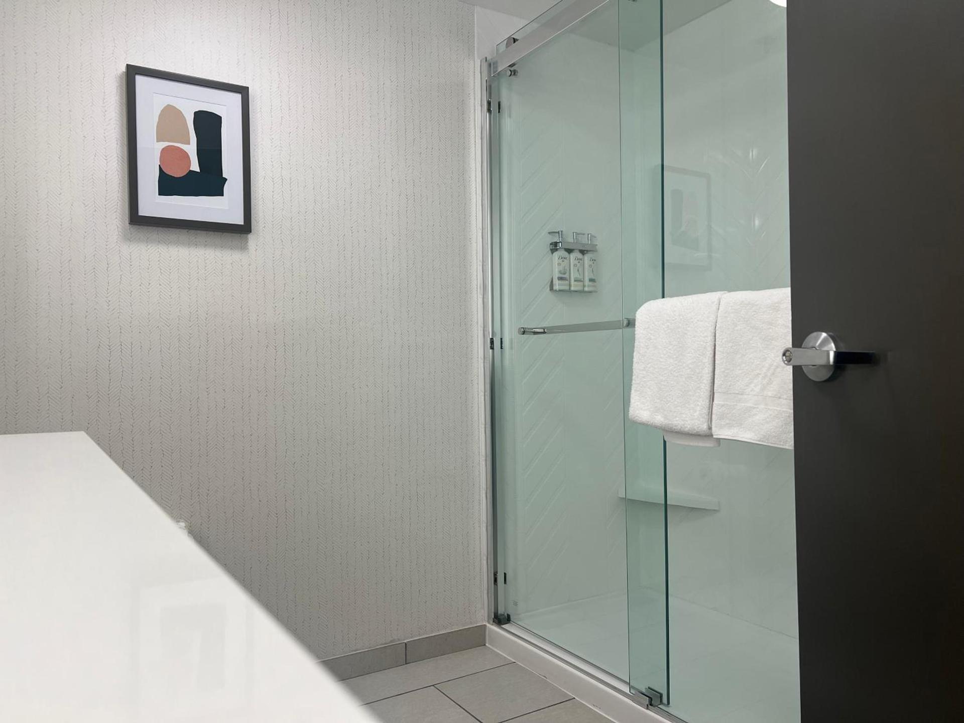 Holiday Inn Nashville Downtown - Stadium by IHG photo 6