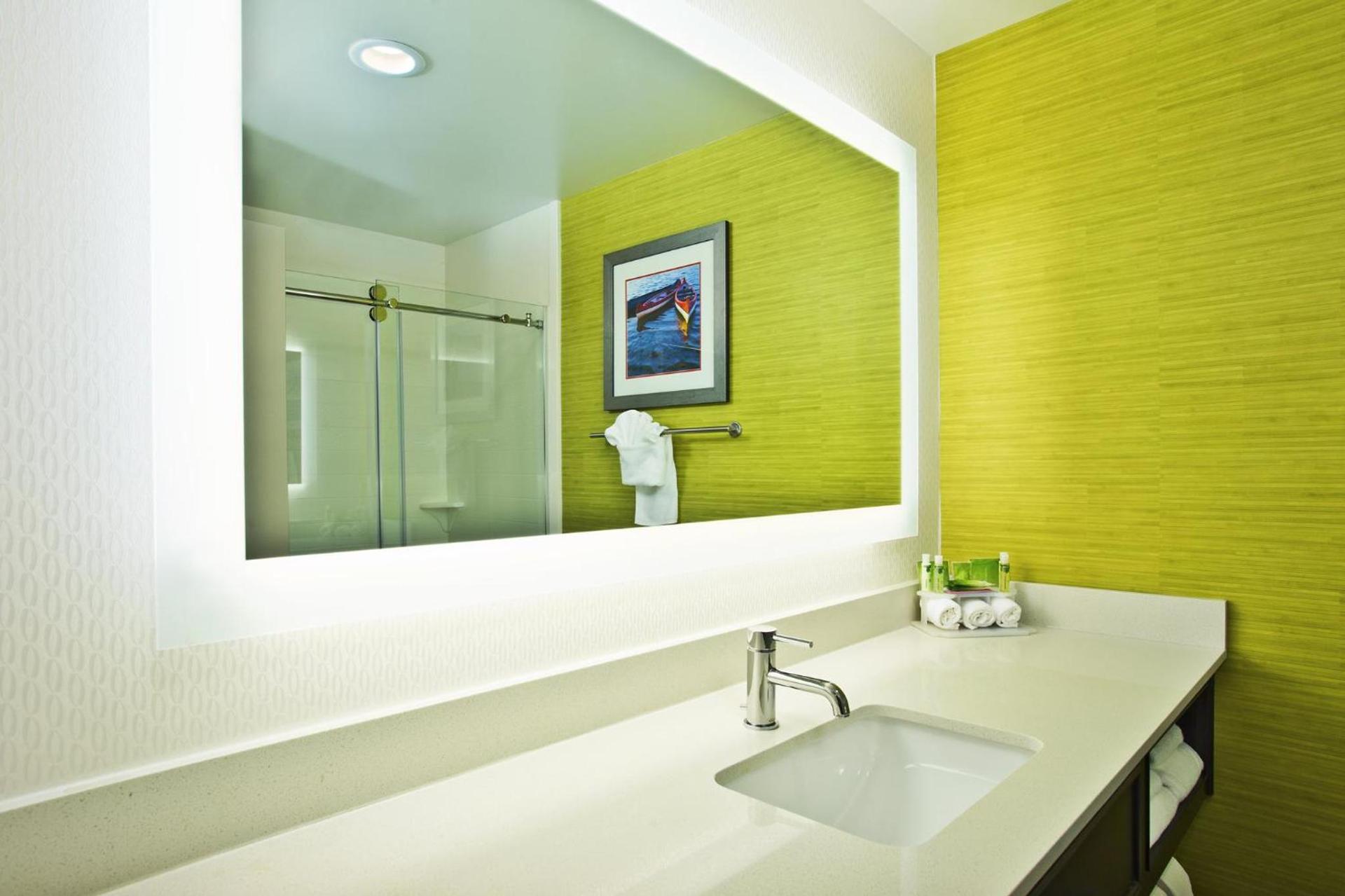 Holiday Inn Express Hotel & Suites Ann Arbor West by IHG photo 33