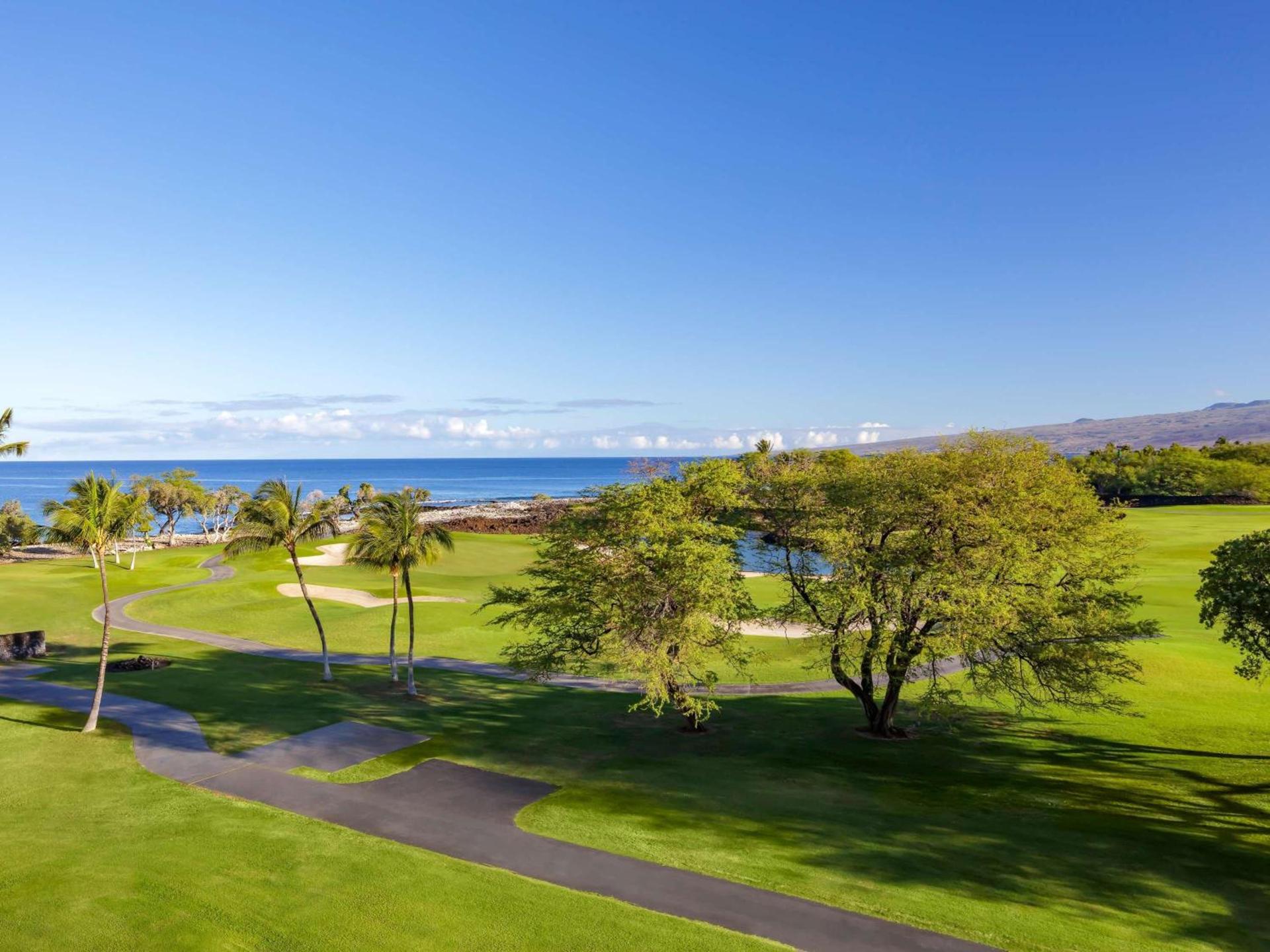 Fairmont Orchid photo 72