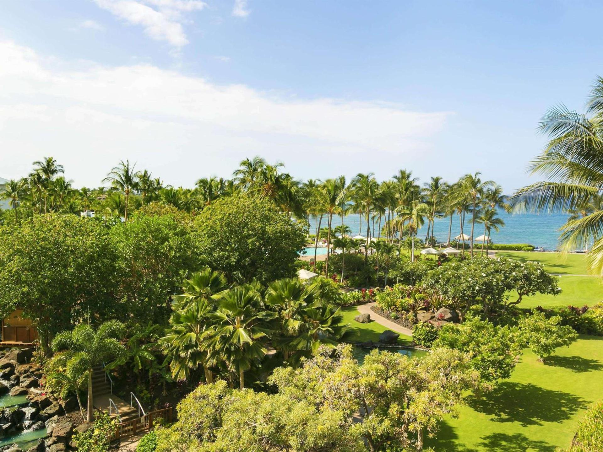 Fairmont Orchid photo 86