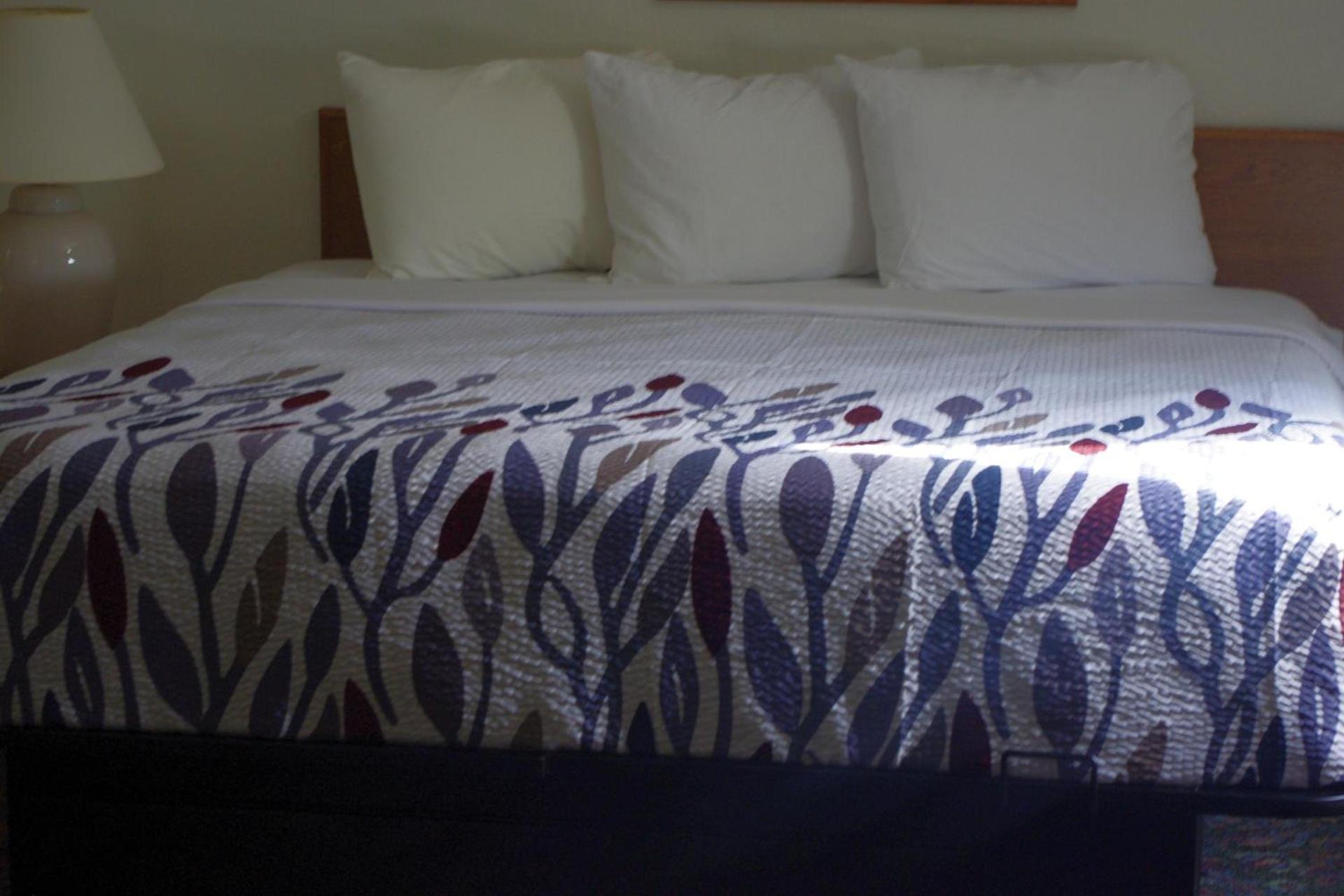 Selby Motel photo 72