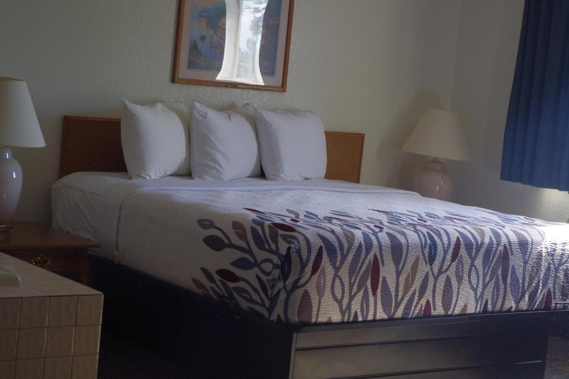 Selby Motel photo 66
