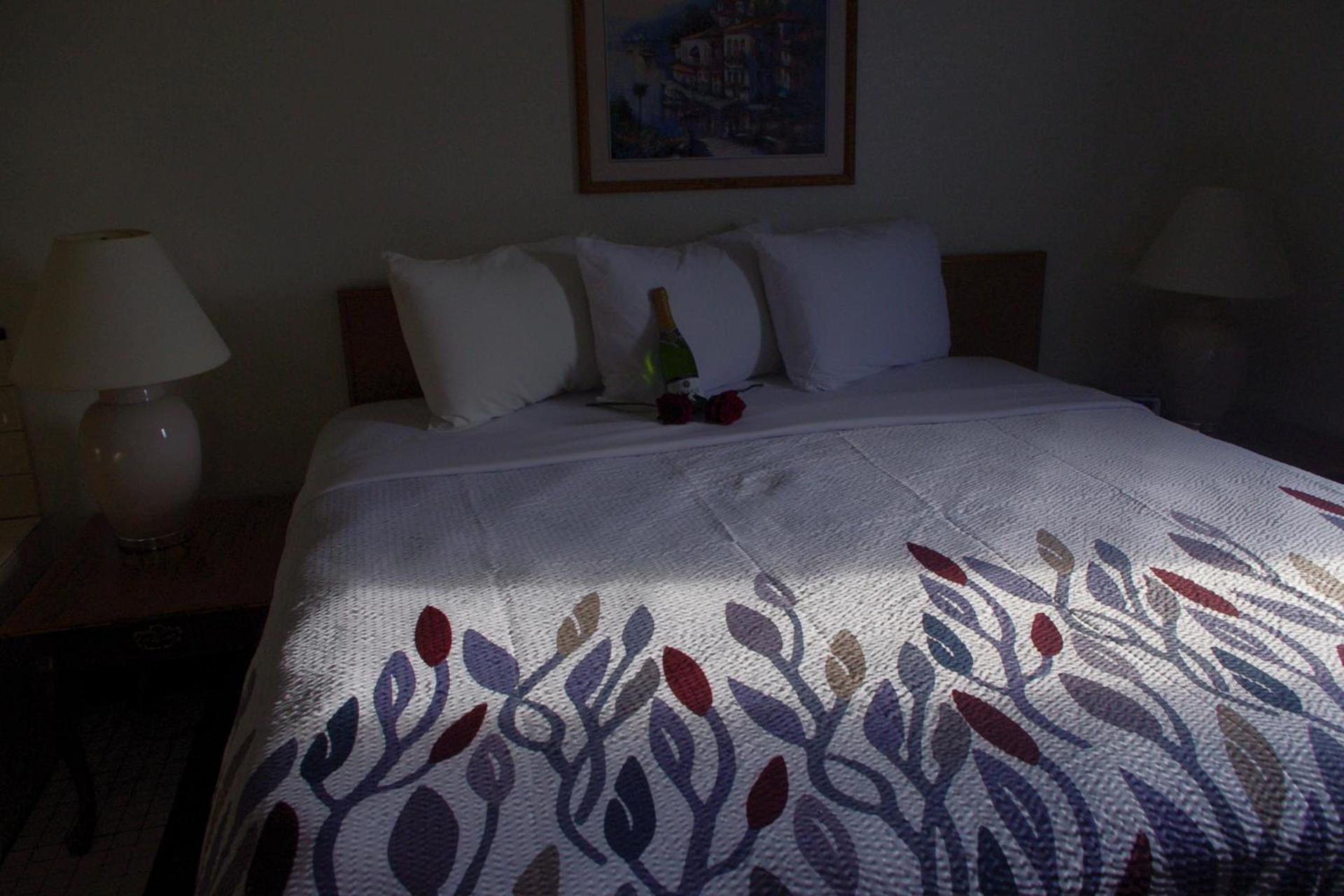Selby Motel photo 62