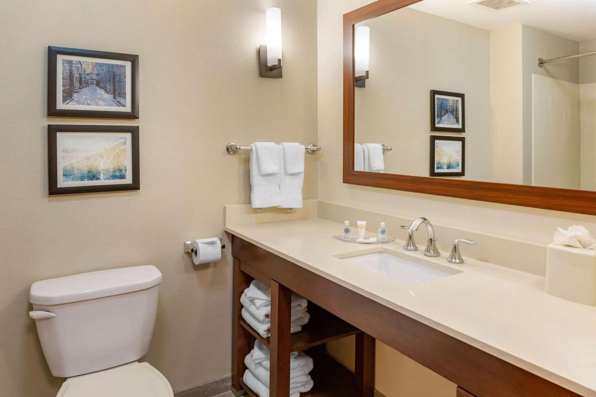 Comfort Suites Lancaster Amish Country photo 7