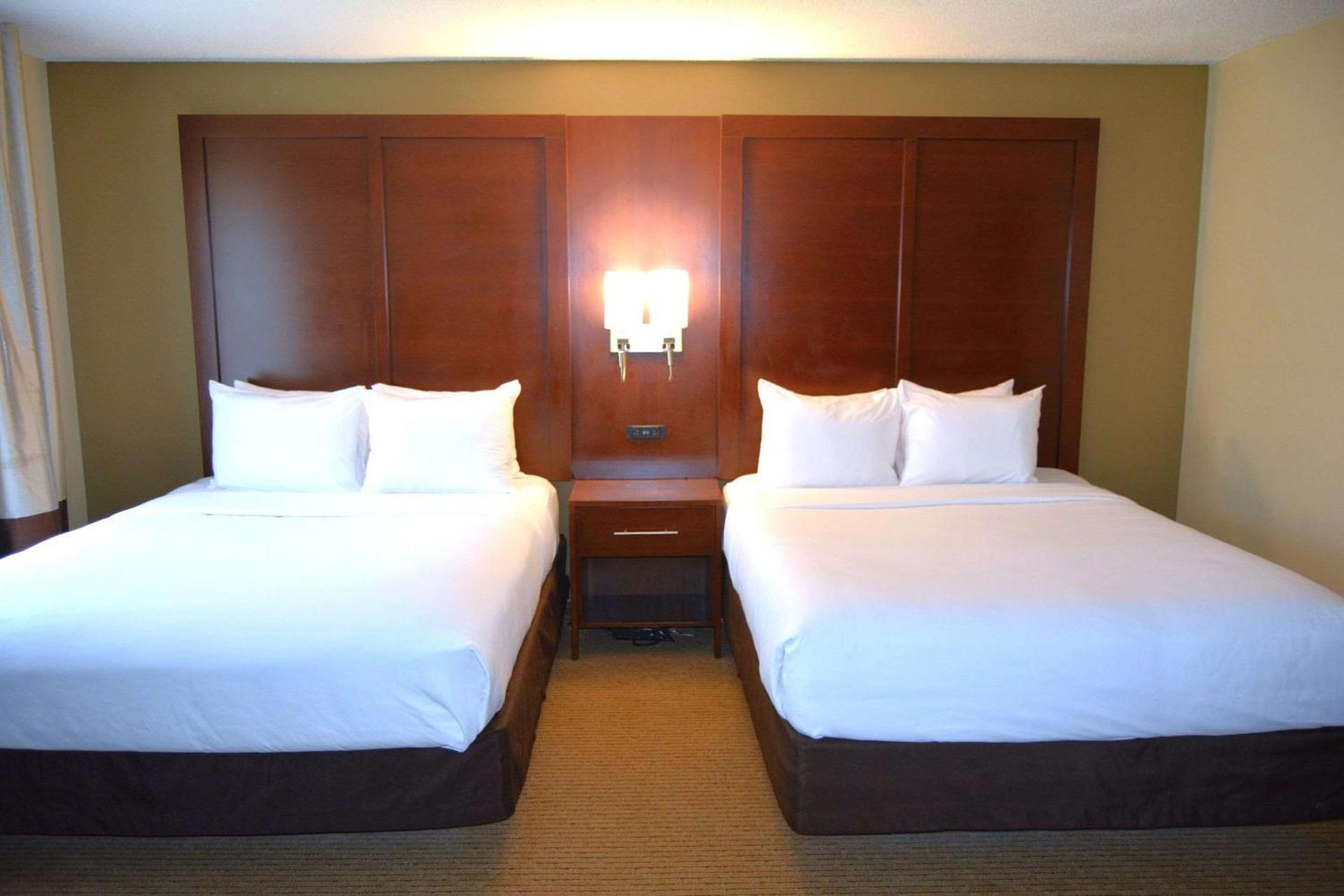 Comfort Suites Lancaster Amish Country photo 8