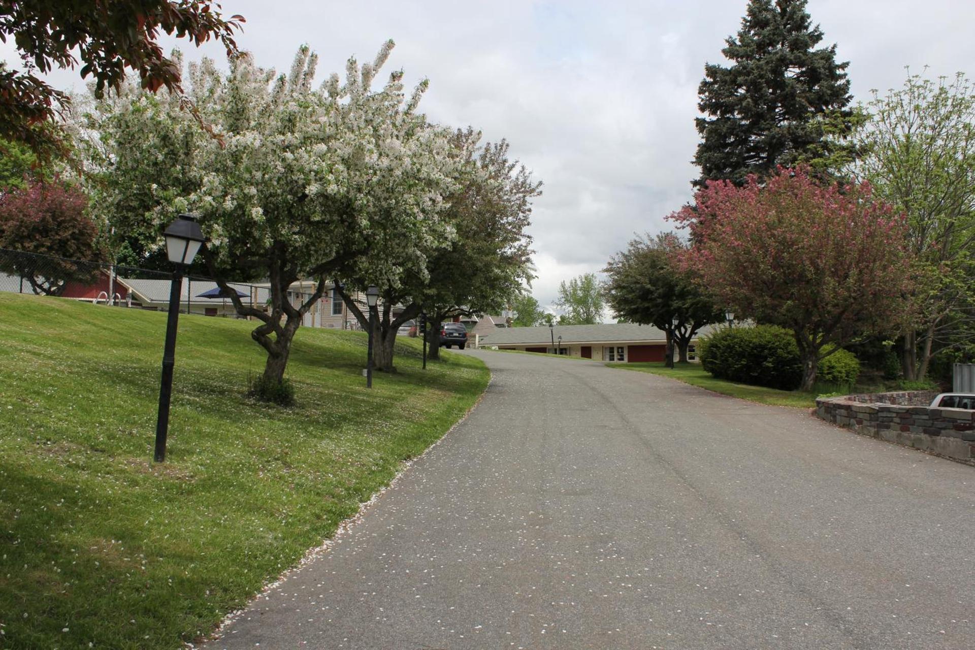 Berkshire Inn photo 9