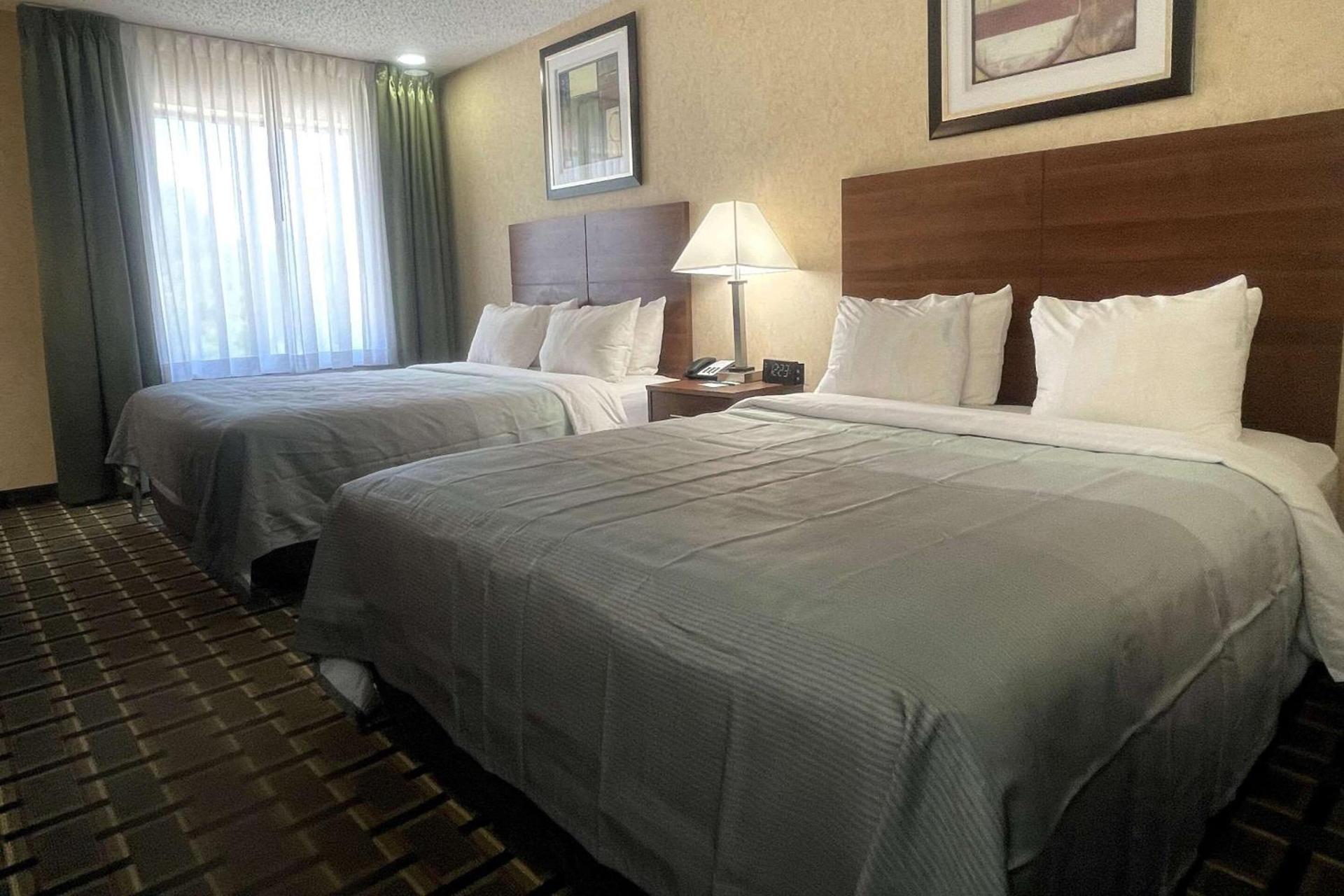 Quality Inn Raton, NM photo 21