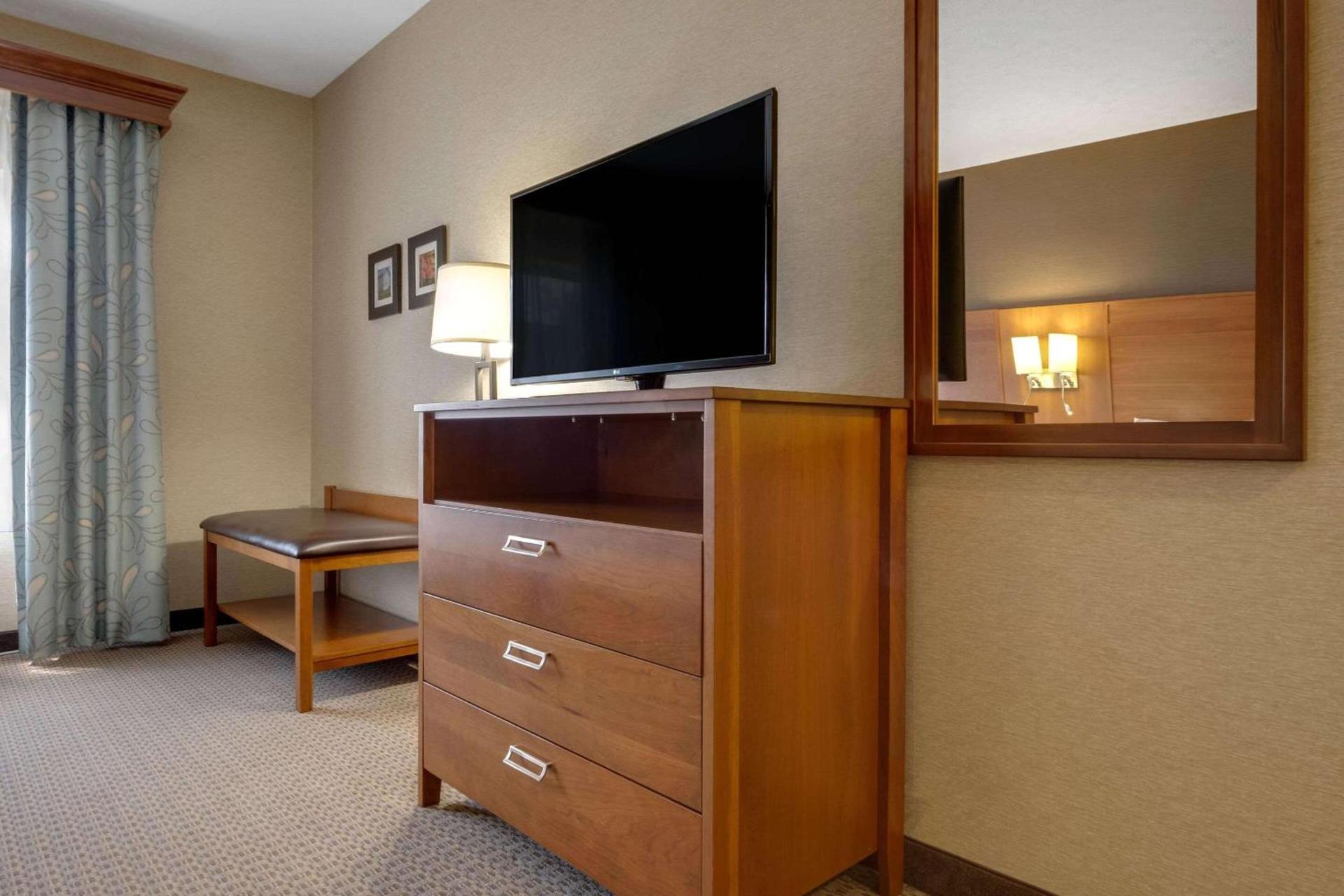 Comfort Suites Hotel and Conference Center photo 15