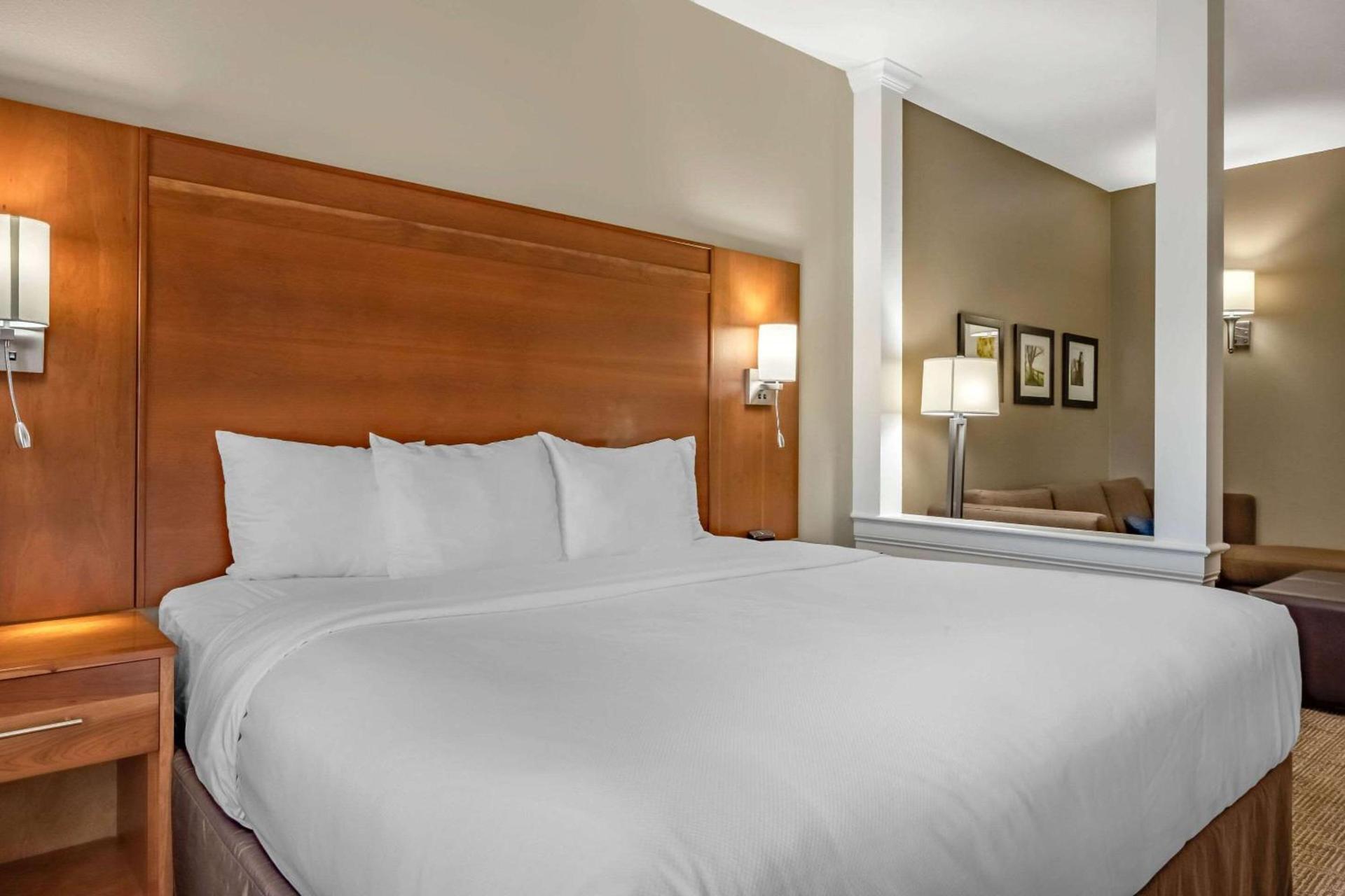 Comfort Suites Hotel and Conference Center photo 20