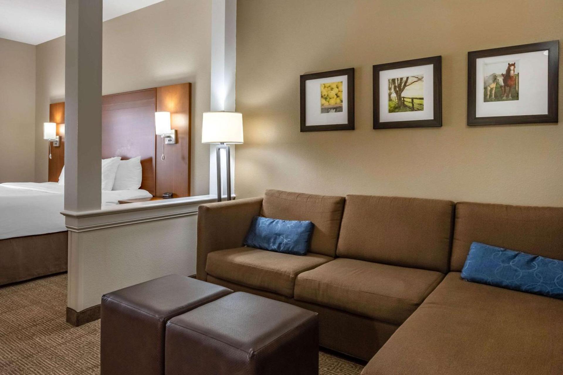 Comfort Suites Hotel and Conference Center photo 22