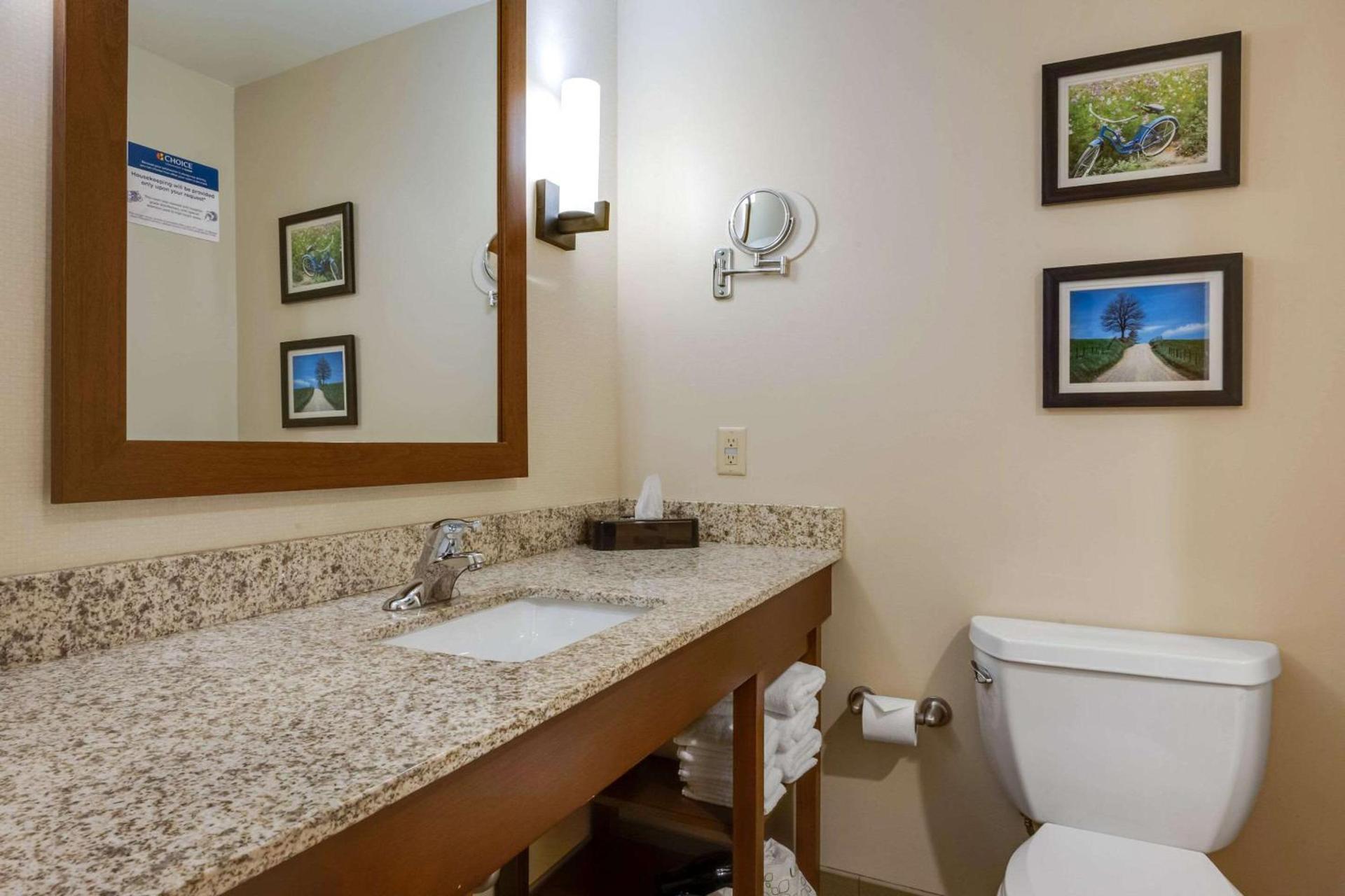 Comfort Suites Hotel and Conference Center photo 24