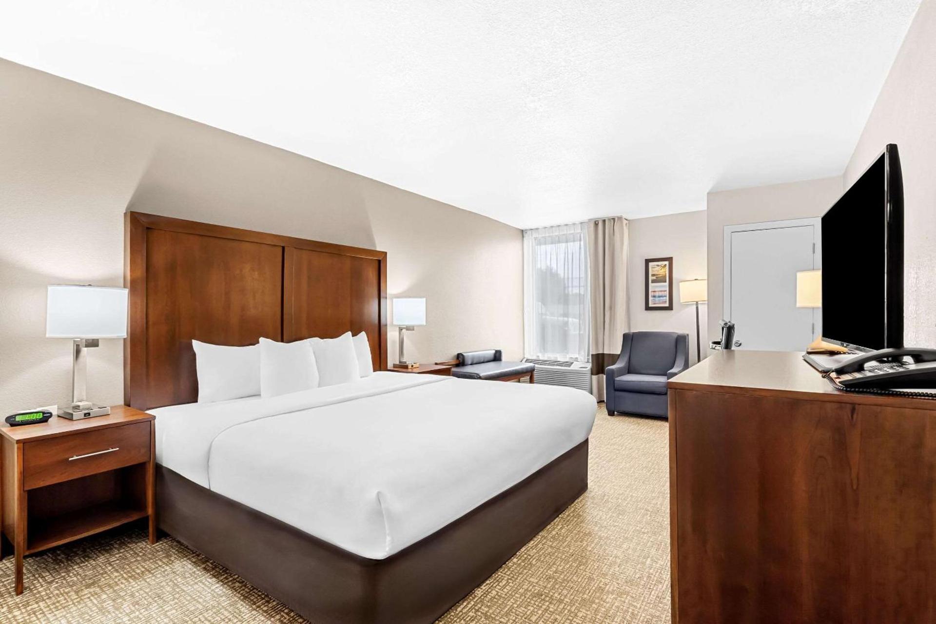 Comfort Inn University photo 16