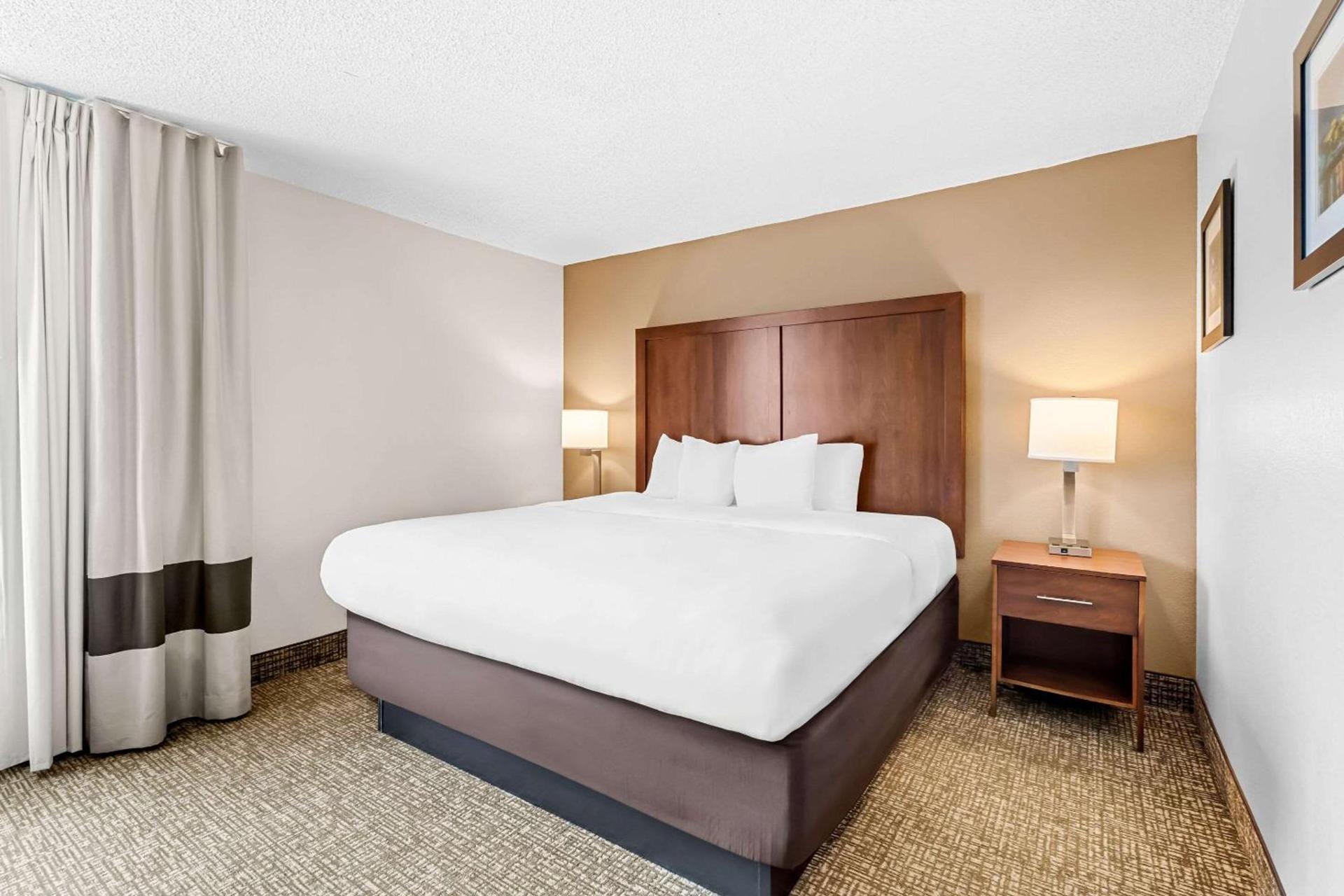 Comfort Inn University photo 25