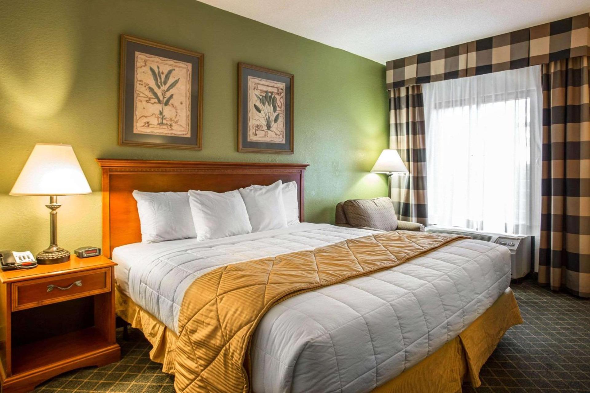 Clarion Inn & Suites Aiken South photo 6