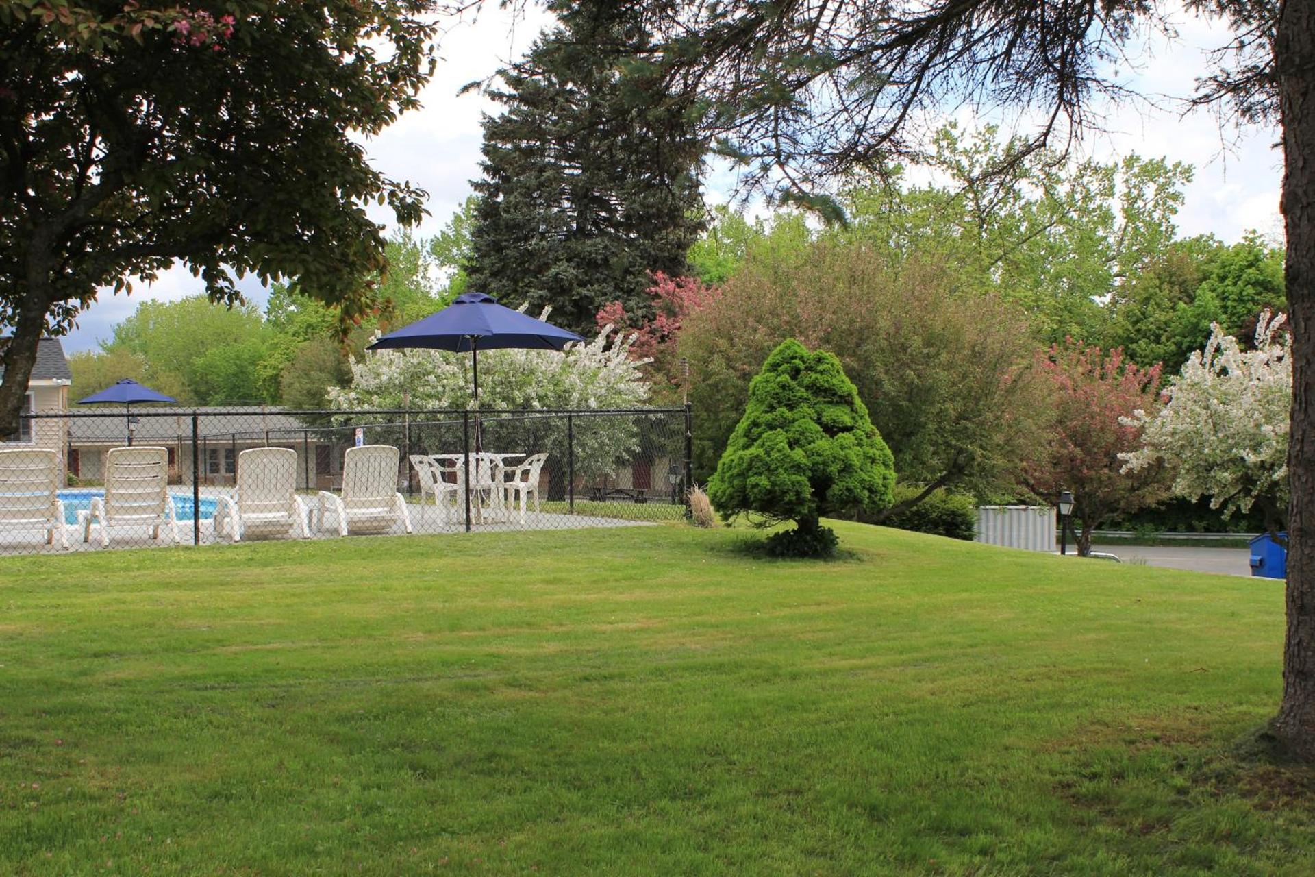 Berkshire Inn photo 7