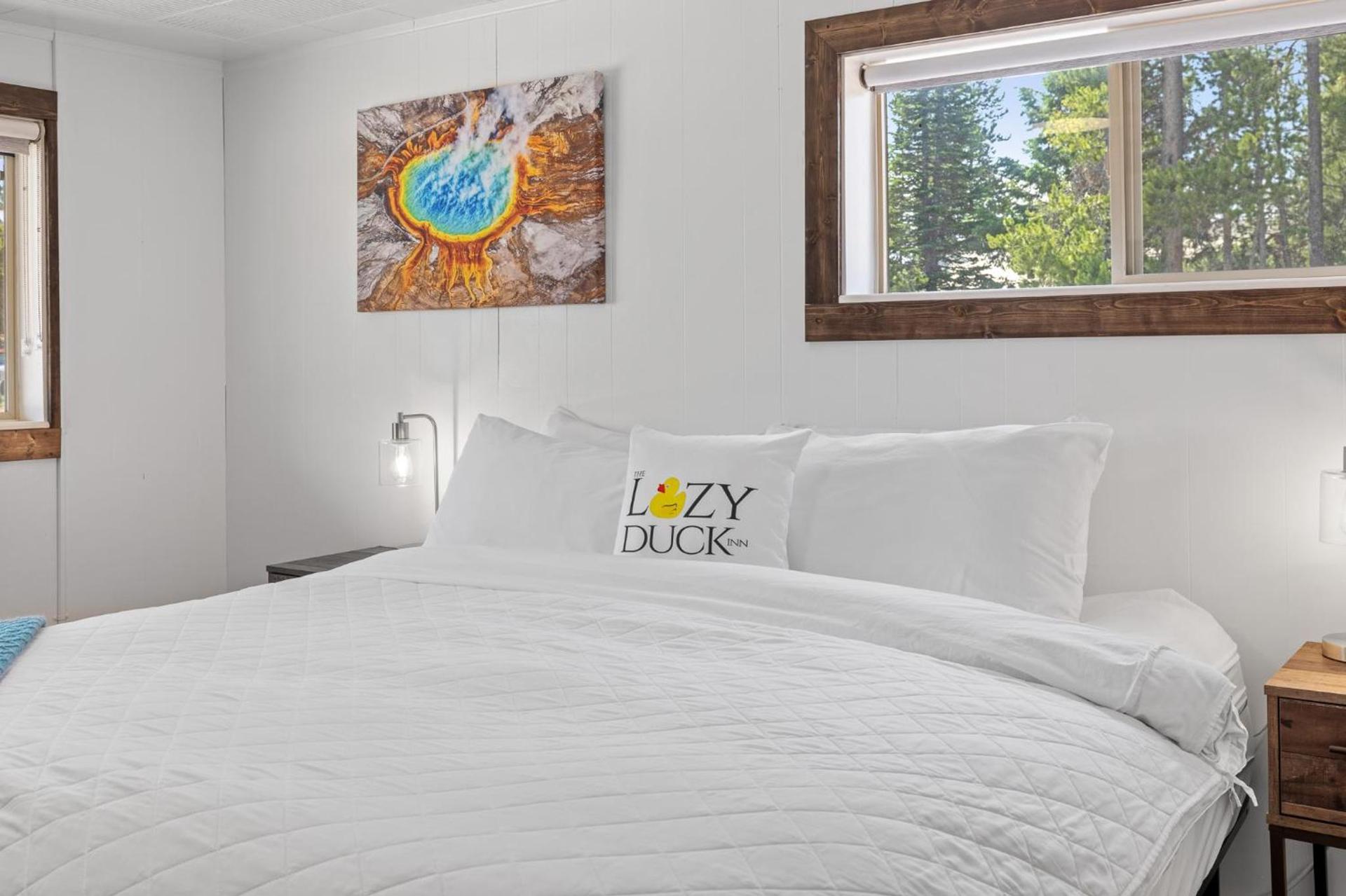 The Lazy Duck Inn photo 2
