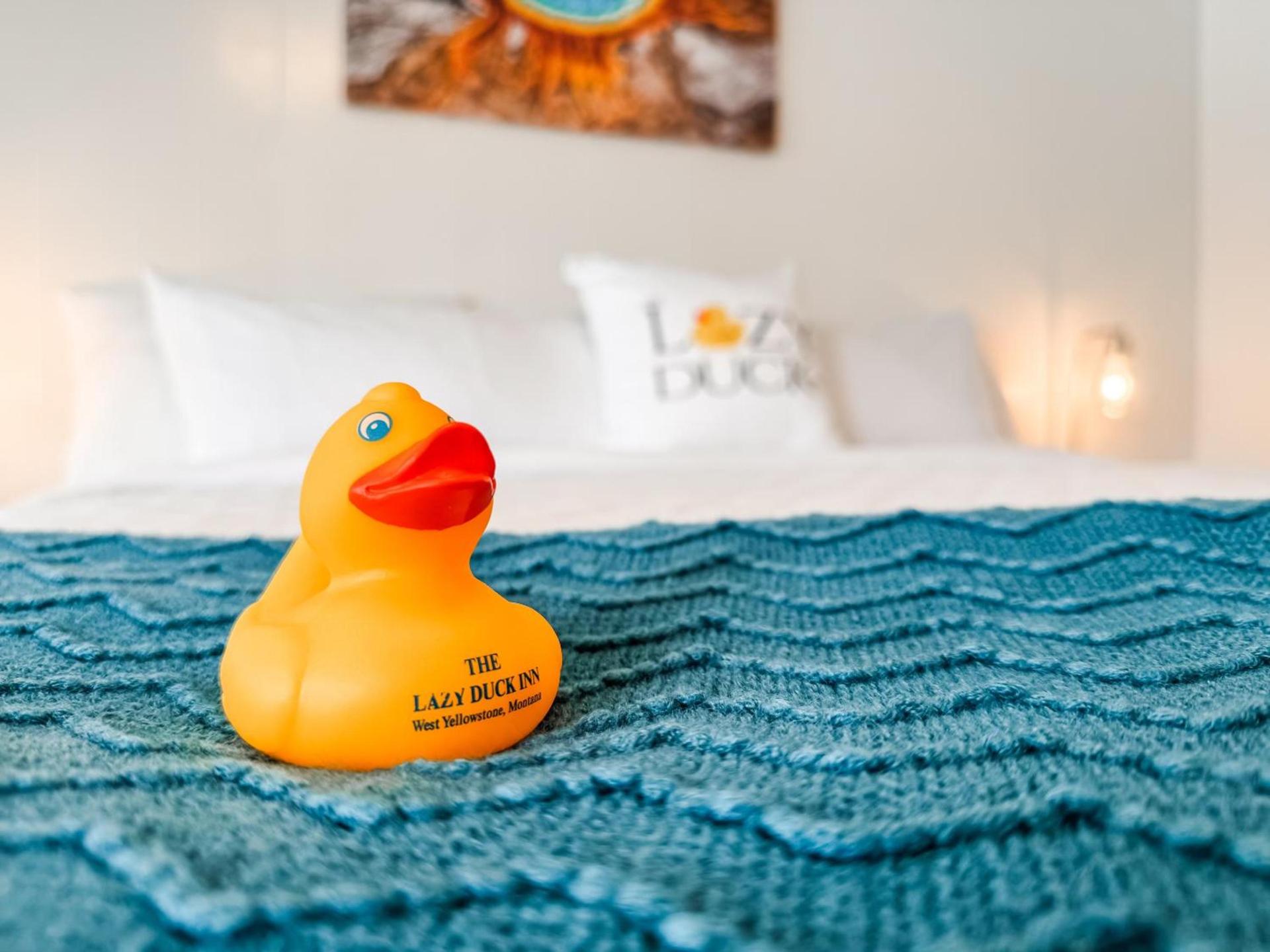The Lazy Duck Inn photo 3