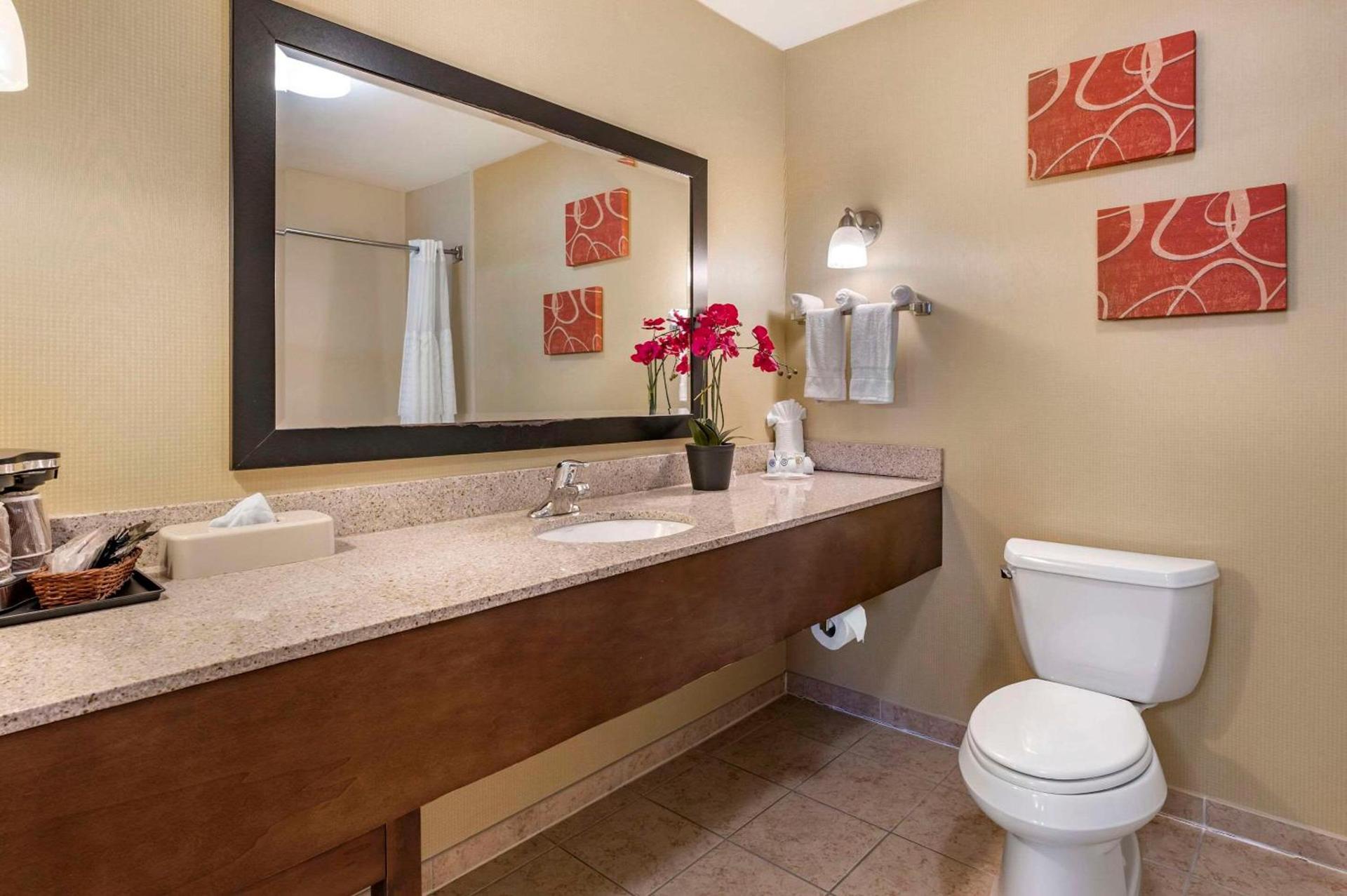 Comfort Suites Urbana Champaign, University Area photo 9