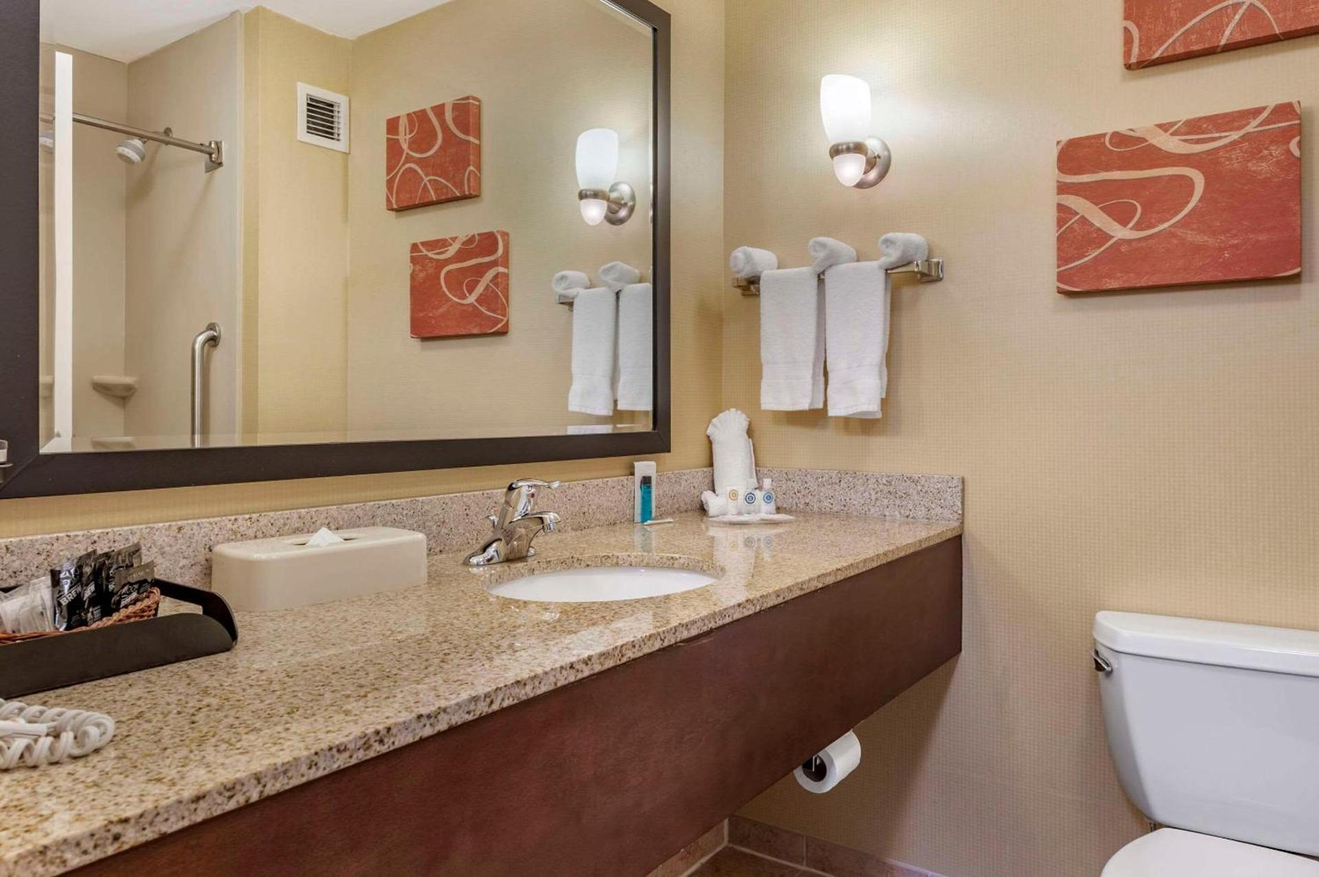 Comfort Suites Urbana Champaign, University Area photo 29