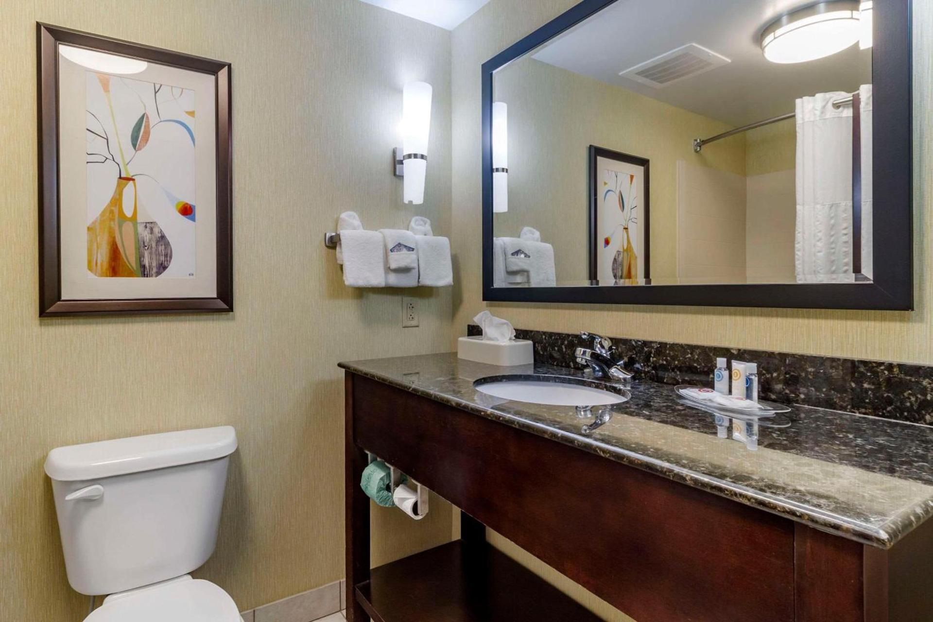 Comfort Suites Knoxville West - Farragut photo 6